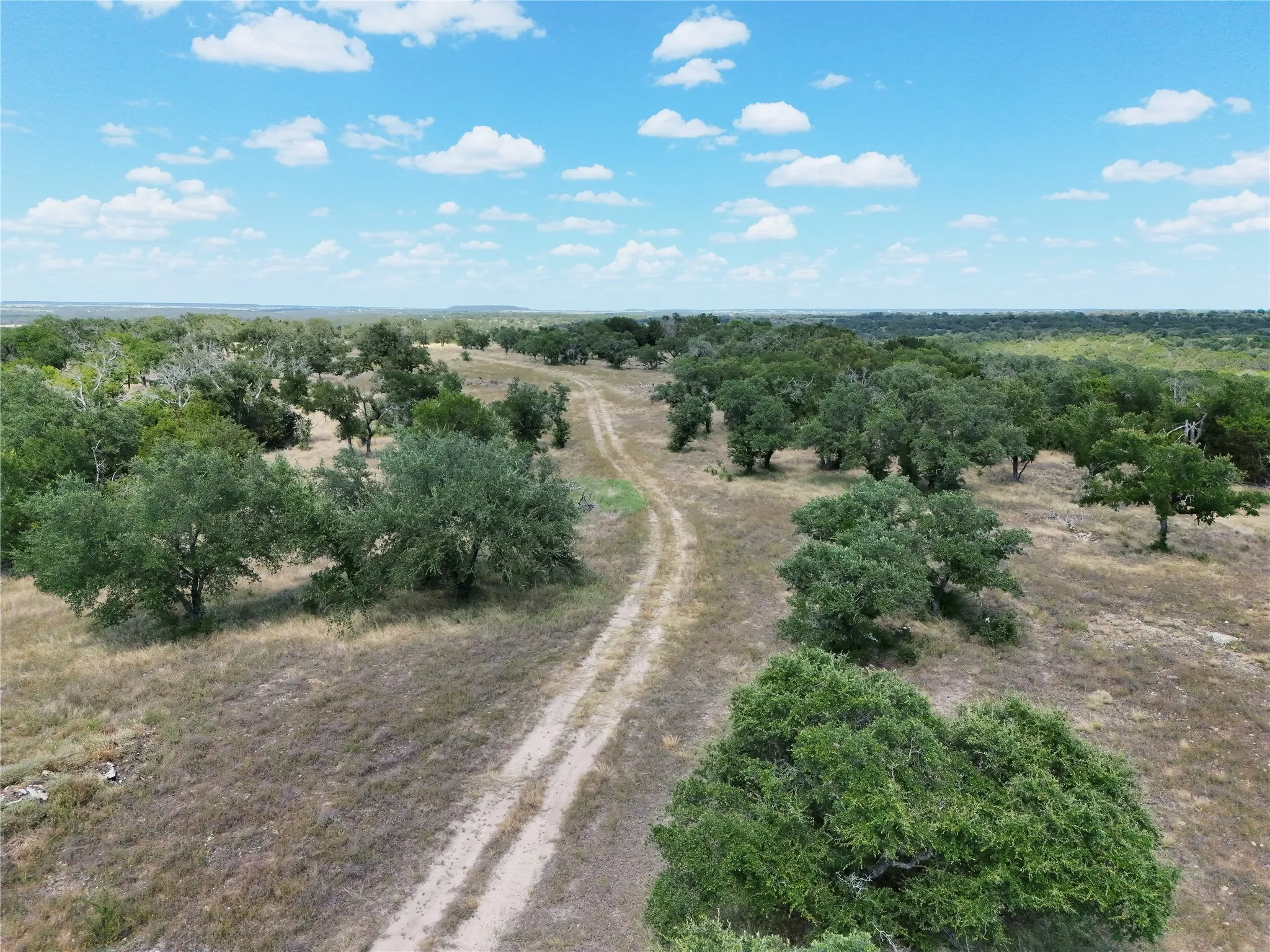 Unimproved Land For Sale in Hamilton County , 895 Pr 202 / Hwy 281, Hamilton, Texas 76531, 0, 0, Garage spaces, 0 Sqft, built in 0, mls#21418422, Real Estate Agent in Hamilton, Homes For Sale in Hamilton county, Homes For Sale in Hamilton, Realtor in Hamilton Texas, Real Estate Brokerage Independent Realty Texas, Luminita Cordes Realtor