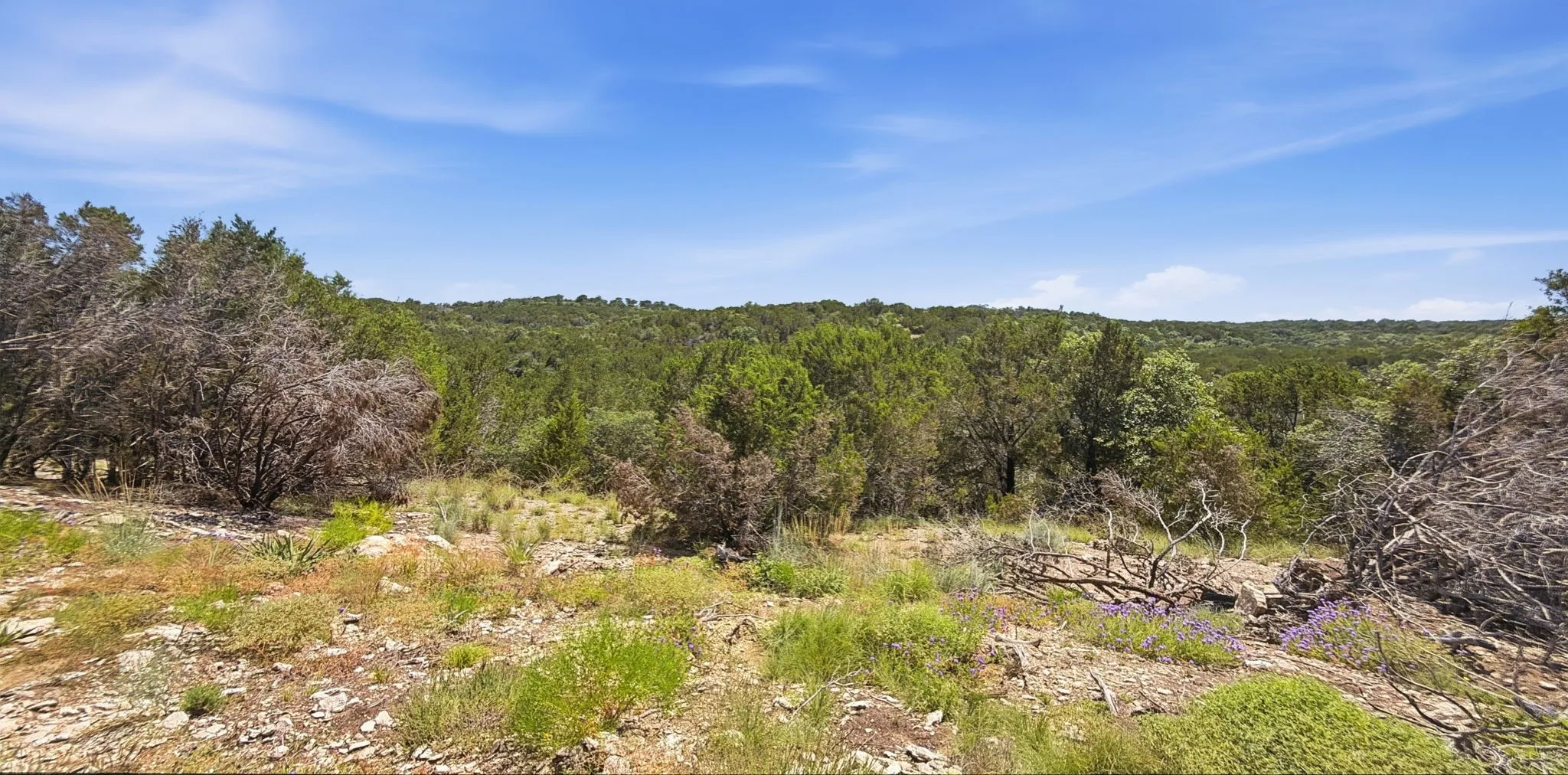 Unimproved Land For Sale in Hamilton County , 895 Pr 202 / Hwy 281, Hamilton, Texas 76531, 0, 0, Garage spaces, 0 Sqft, built in 0, mls#21418422, Real Estate Agent in Hamilton, Homes For Sale in Hamilton county, Homes For Sale in Hamilton, Realtor in Hamilton Texas, Real Estate Brokerage Independent Realty Texas, Luminita Cordes Realtor