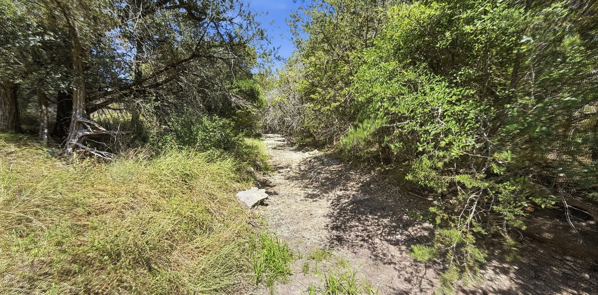 Unimproved Land For Sale in Hamilton County , 895 Pr 202 / Hwy 281, Hamilton, Texas 76531, 0, 0, Garage spaces, 0 Sqft, built in 0, mls#21418422, Real Estate Agent in Hamilton, Homes For Sale in Hamilton county, Homes For Sale in Hamilton, Realtor in Hamilton Texas, Real Estate Brokerage Independent Realty Texas, Luminita Cordes Realtor