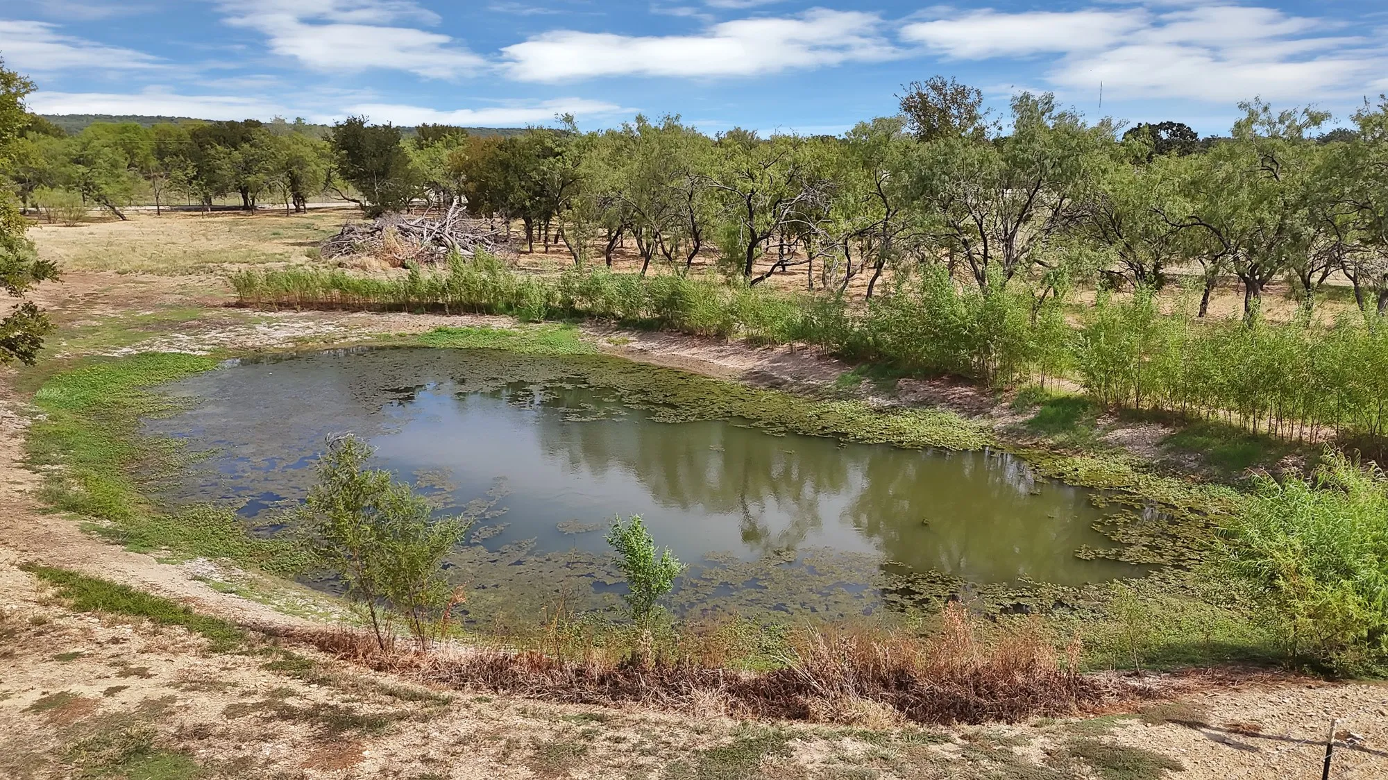 Triplex For Sale in Palo Pinto County , 462 Halsell Road, Mineral Wells, Texas 76067, 8 Bedroom, 9 Bathroom, 5 Garage spaces, 0 Sqft, built in 2008, mls#21418862, Real Estate Agent in Mineral Wells, Homes For Sale in Palo Pinto county, Homes For Sale in Mineral Wells, Realtor in Mineral Wells Texas, Real Estate Brokerage Independent Realty Texas, Luminita Cordes Realtor