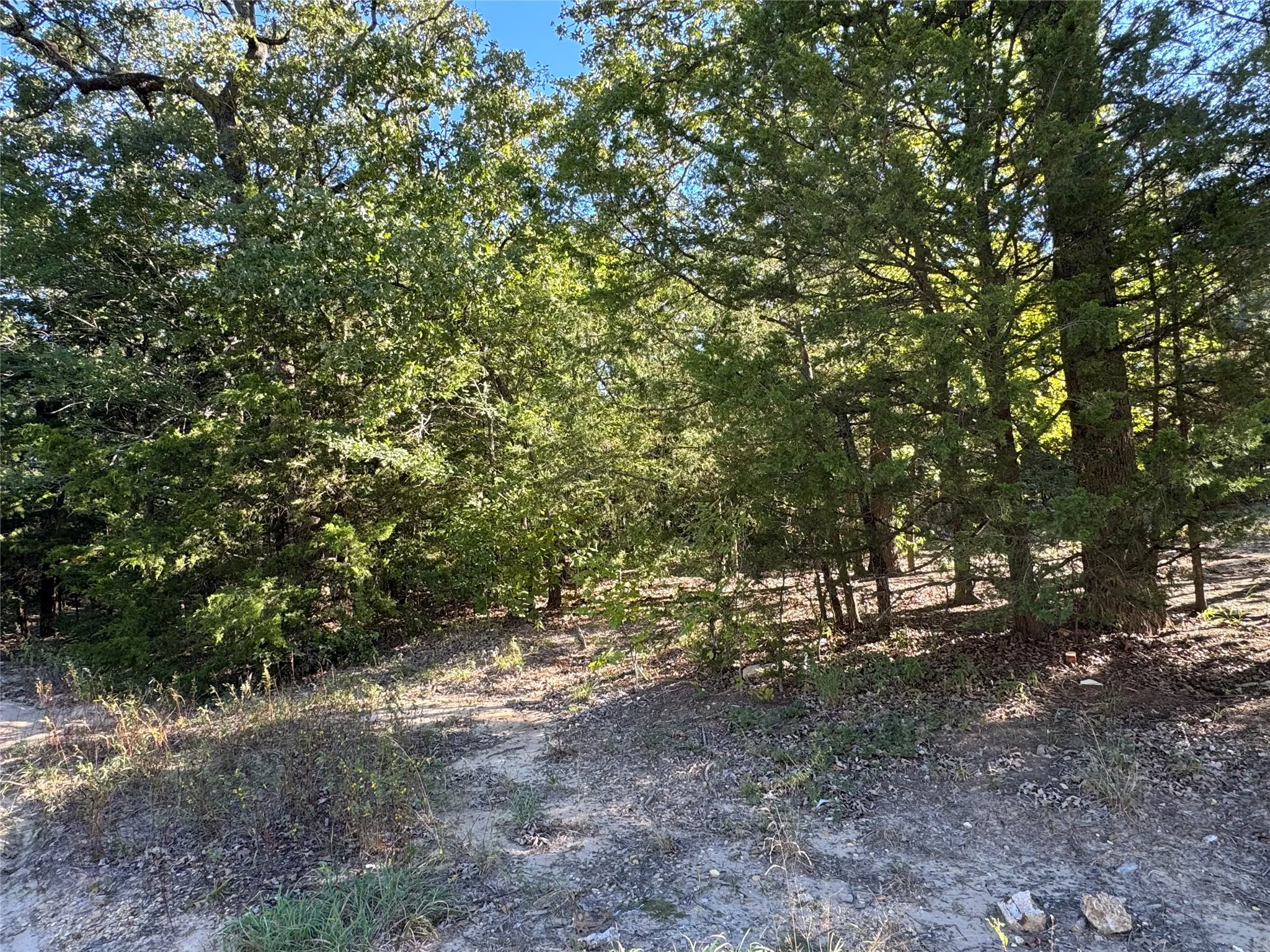 Improved Land For Sale in Van Zandt County , 160 Pvt Road 7836, Wills Point, Texas 75169, 0, 0, Garage spaces, 0 Sqft, built in 1980, mls#21415284, Real Estate Agent in Wills Point, Homes For Sale in Van Zandt county, Homes For Sale in Wills Point, Realtor in Wills Point Texas, Real Estate Brokerage Independent Realty Texas, Luminita Cordes Realtor