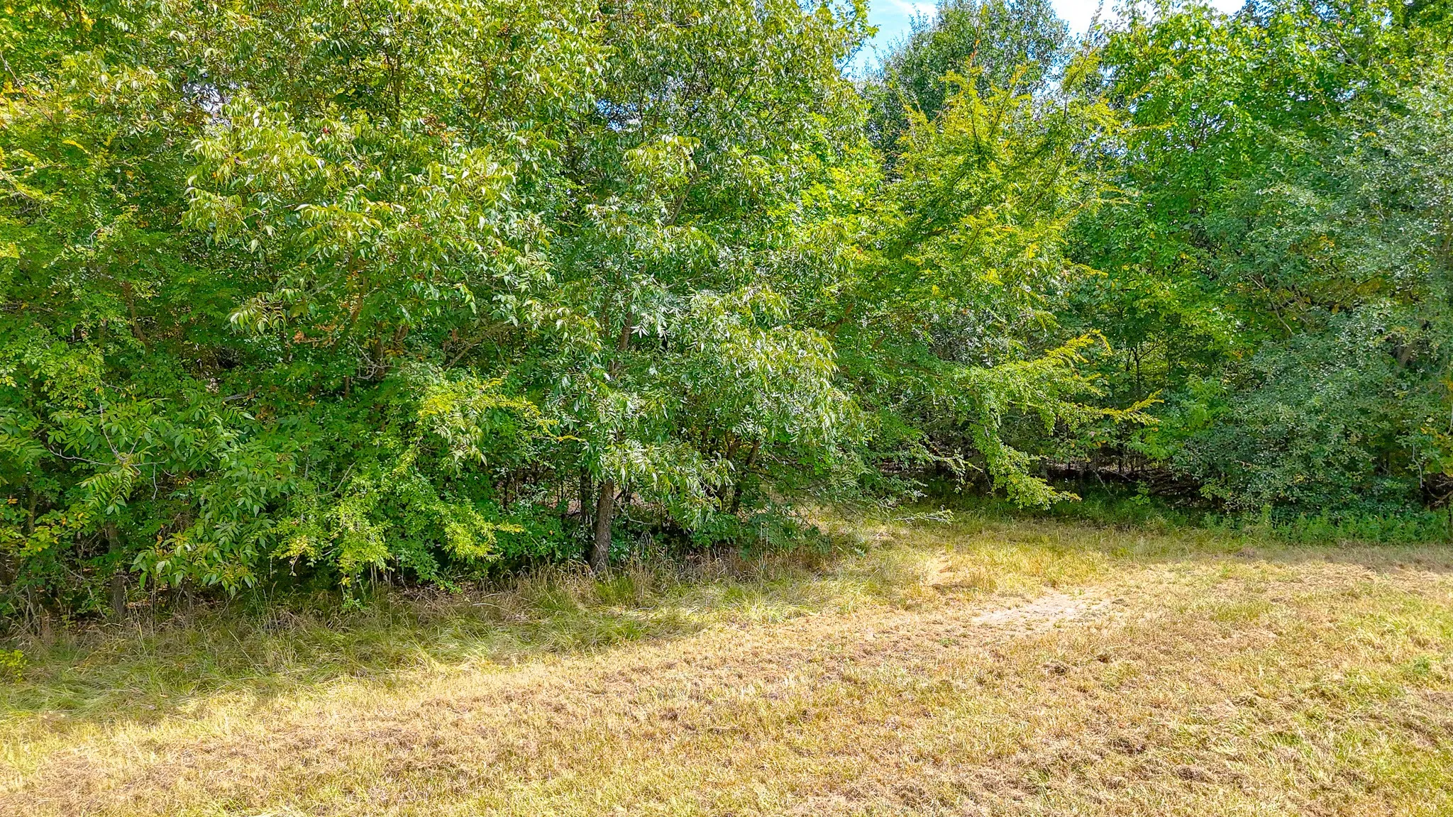 Unimproved Land For Sale in Navarro County , Lot 119 Boat Slip A11 Waters Edge Drive, Corsicana, Texas 75109, 0, 0, Garage spaces, 0 Sqft, built in 0, mls#21412786, Real Estate Agent in Corsicana, Homes For Sale in Navarro county, Homes For Sale in Corsicana, Realtor in Corsicana Texas, Real Estate Brokerage Independent Realty Texas, Luminita Cordes Realtor