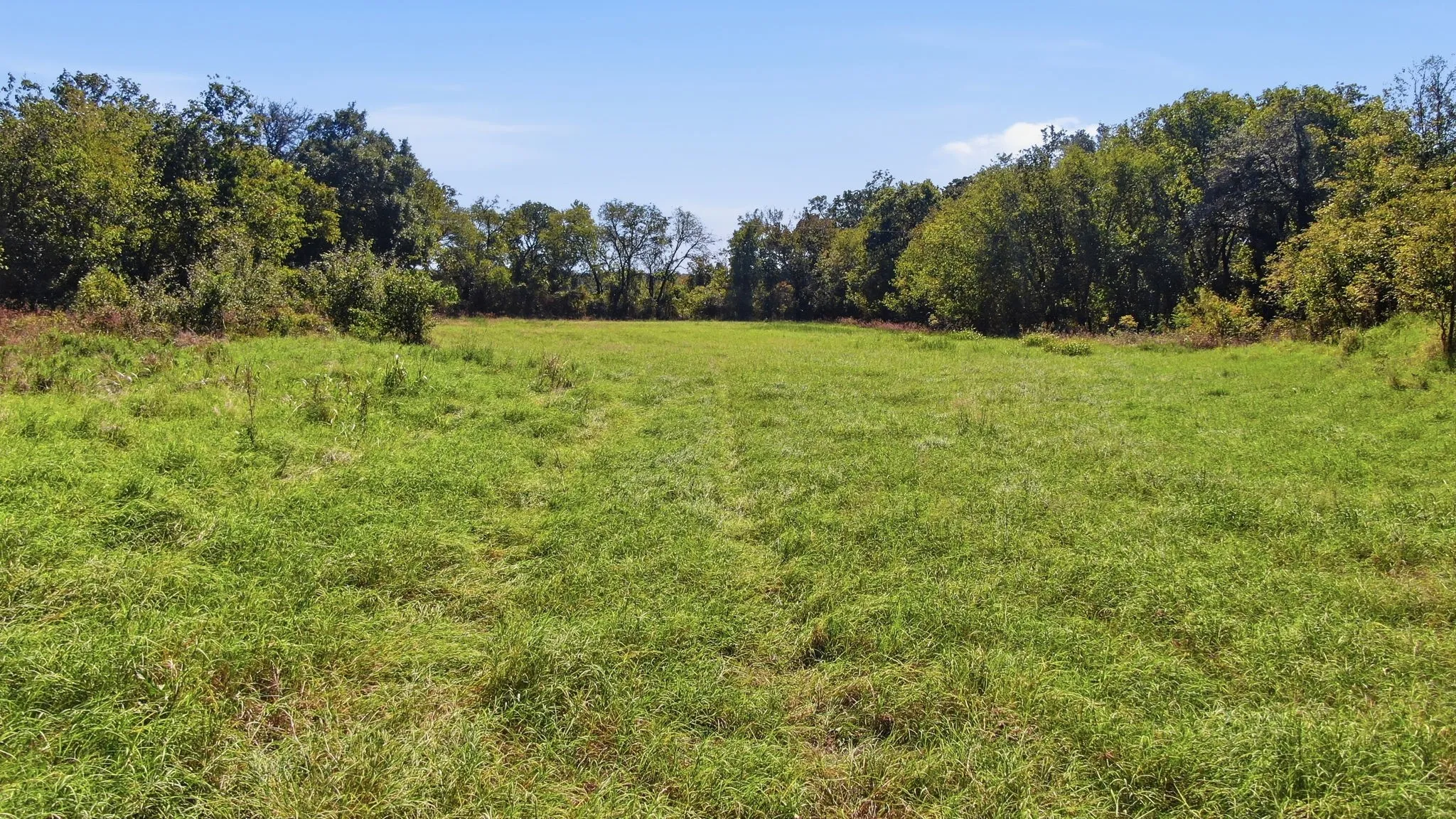 Unimproved Land For Sale in Erath County , TBD County Road 185 6, Stephenville, Texas 76401, 0, 0, Garage spaces, 0 Sqft, built in 1986, mls#21418501, Real Estate Agent in Stephenville, Homes For Sale in Erath county, Homes For Sale in Stephenville, Realtor in Stephenville Texas, Real Estate Brokerage Independent Realty Texas, Luminita Cordes Realtor