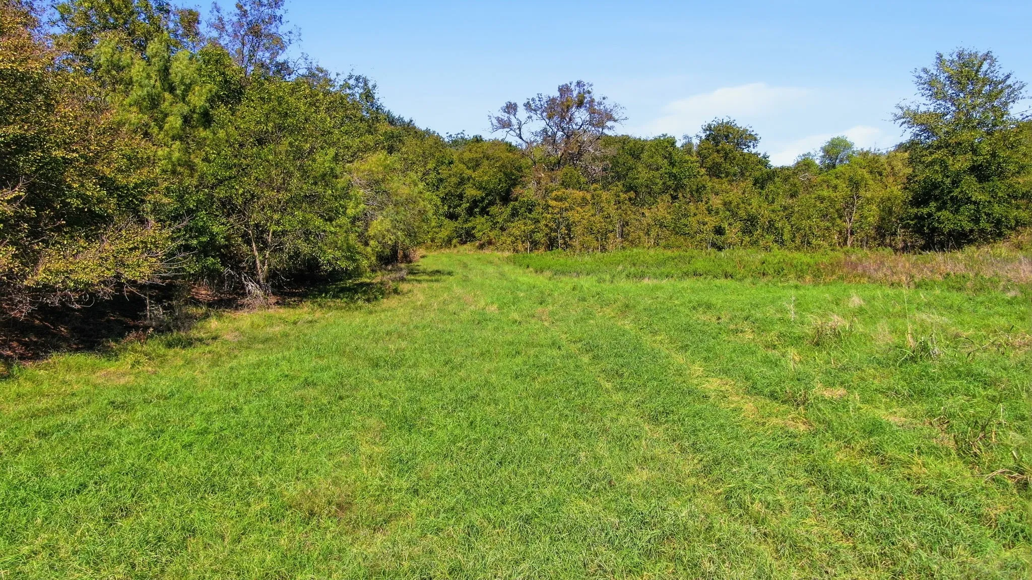 Unimproved Land For Sale in Erath County , TBD County Road 185 6, Stephenville, Texas 76401, 0, 0, Garage spaces, 0 Sqft, built in 1986, mls#21418501, Real Estate Agent in Stephenville, Homes For Sale in Erath county, Homes For Sale in Stephenville, Realtor in Stephenville Texas, Real Estate Brokerage Independent Realty Texas, Luminita Cordes Realtor