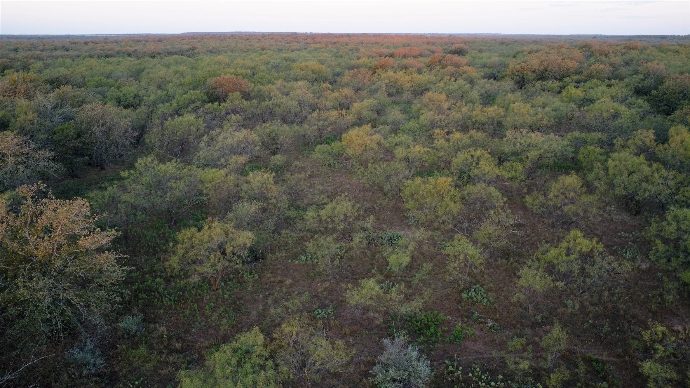 Ranch For Sale in Young County , 0000 Kramer Road, Graham, Texas 76450, 0, 0, Garage spaces, 0 Sqft, built in 0, mls#21419160, Real Estate Agent in Graham, Homes For Sale in Young county, Homes For Sale in Graham, Realtor in Graham Texas, Real Estate Brokerage Independent Realty Texas, Luminita Cordes Realtor