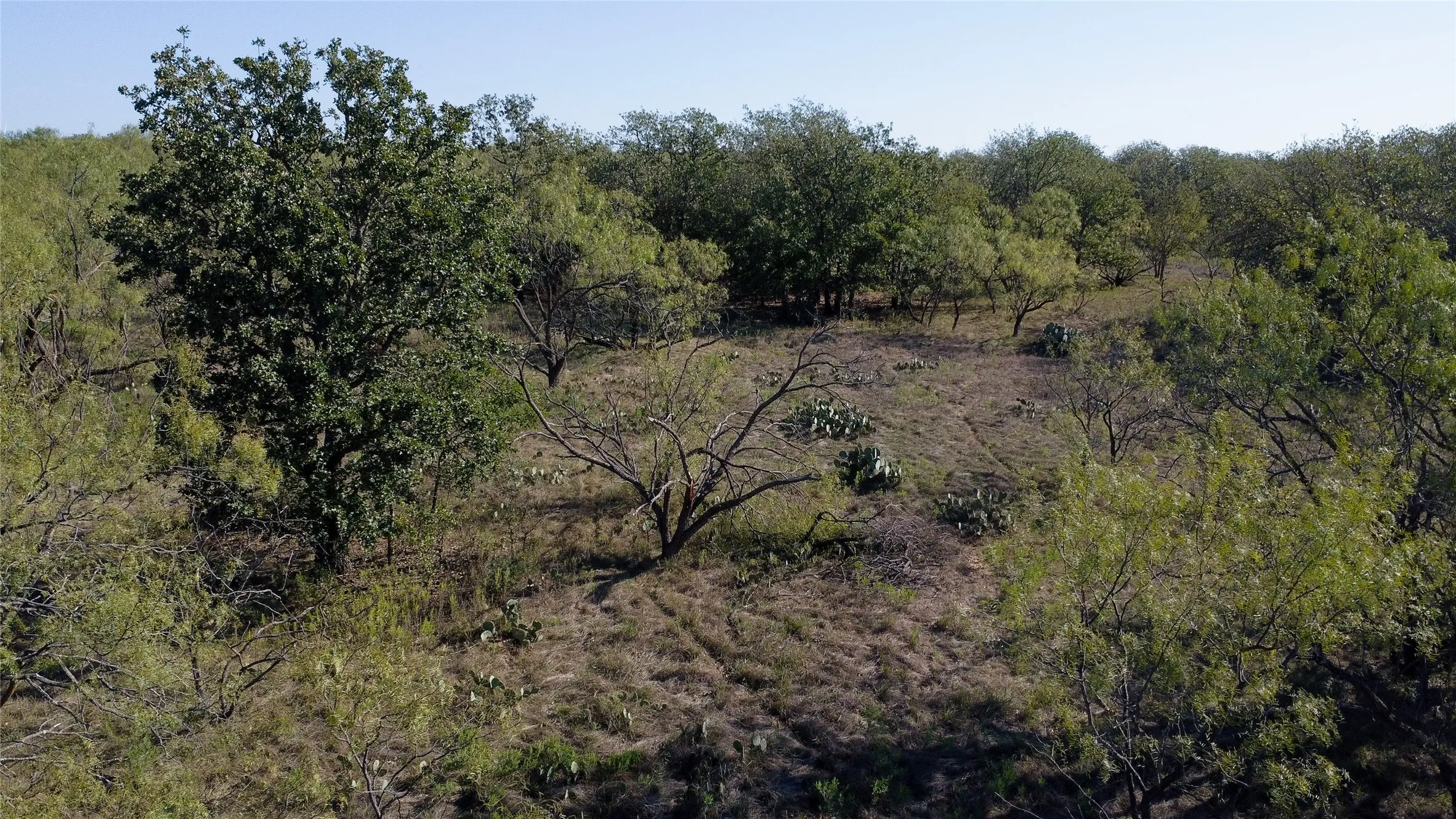 Ranch For Sale in Young County , 0000 Kramer Road, Graham, Texas 76450, 0, 0, Garage spaces, 0 Sqft, built in 0, mls#21419160, Real Estate Agent in Graham, Homes For Sale in Young county, Homes For Sale in Graham, Realtor in Graham Texas, Real Estate Brokerage Independent Realty Texas, Luminita Cordes Realtor