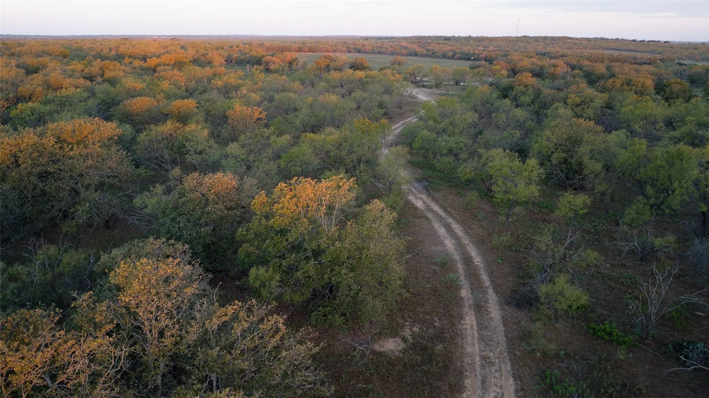 Ranch For Sale in Young County , 0000 Kramer Road, Graham, Texas 76450, 0, 0, Garage spaces, 0 Sqft, built in 0, mls#21419160, Real Estate Agent in Graham, Homes For Sale in Young county, Homes For Sale in Graham, Realtor in Graham Texas, Real Estate Brokerage Independent Realty Texas, Luminita Cordes Realtor