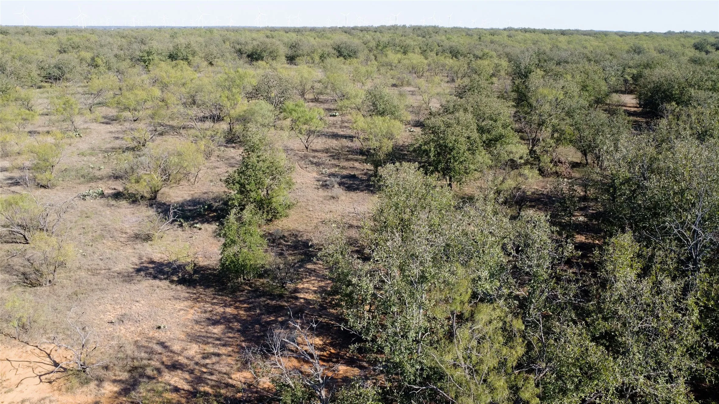 Ranch For Sale in Young County , 0000 Kramer Road, Graham, Texas 76450, 0, 0, Garage spaces, 0 Sqft, built in 0, mls#21419160, Real Estate Agent in Graham, Homes For Sale in Young county, Homes For Sale in Graham, Realtor in Graham Texas, Real Estate Brokerage Independent Realty Texas, Luminita Cordes Realtor