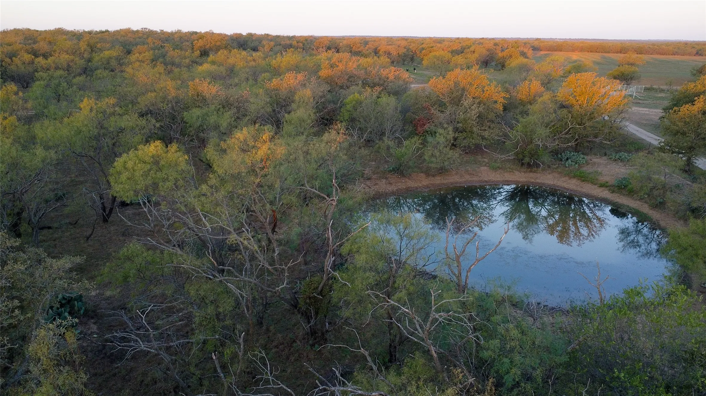 Ranch For Sale in Young County , 0000 Kramer Road, Graham, Texas 76450, 0, 0, Garage spaces, 0 Sqft, built in 0, mls#21419160, Real Estate Agent in Graham, Homes For Sale in Young county, Homes For Sale in Graham, Realtor in Graham Texas, Real Estate Brokerage Independent Realty Texas, Luminita Cordes Realtor