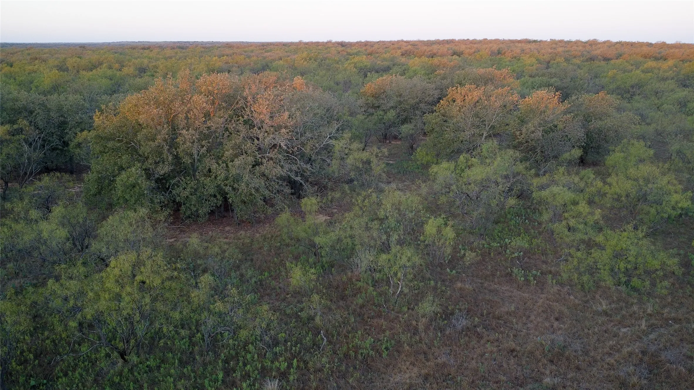 Ranch For Sale in Young County , 0000 Kramer Road, Graham, Texas 76450, 0, 0, Garage spaces, 0 Sqft, built in 0, mls#21419160, Real Estate Agent in Graham, Homes For Sale in Young county, Homes For Sale in Graham, Realtor in Graham Texas, Real Estate Brokerage Independent Realty Texas, Luminita Cordes Realtor