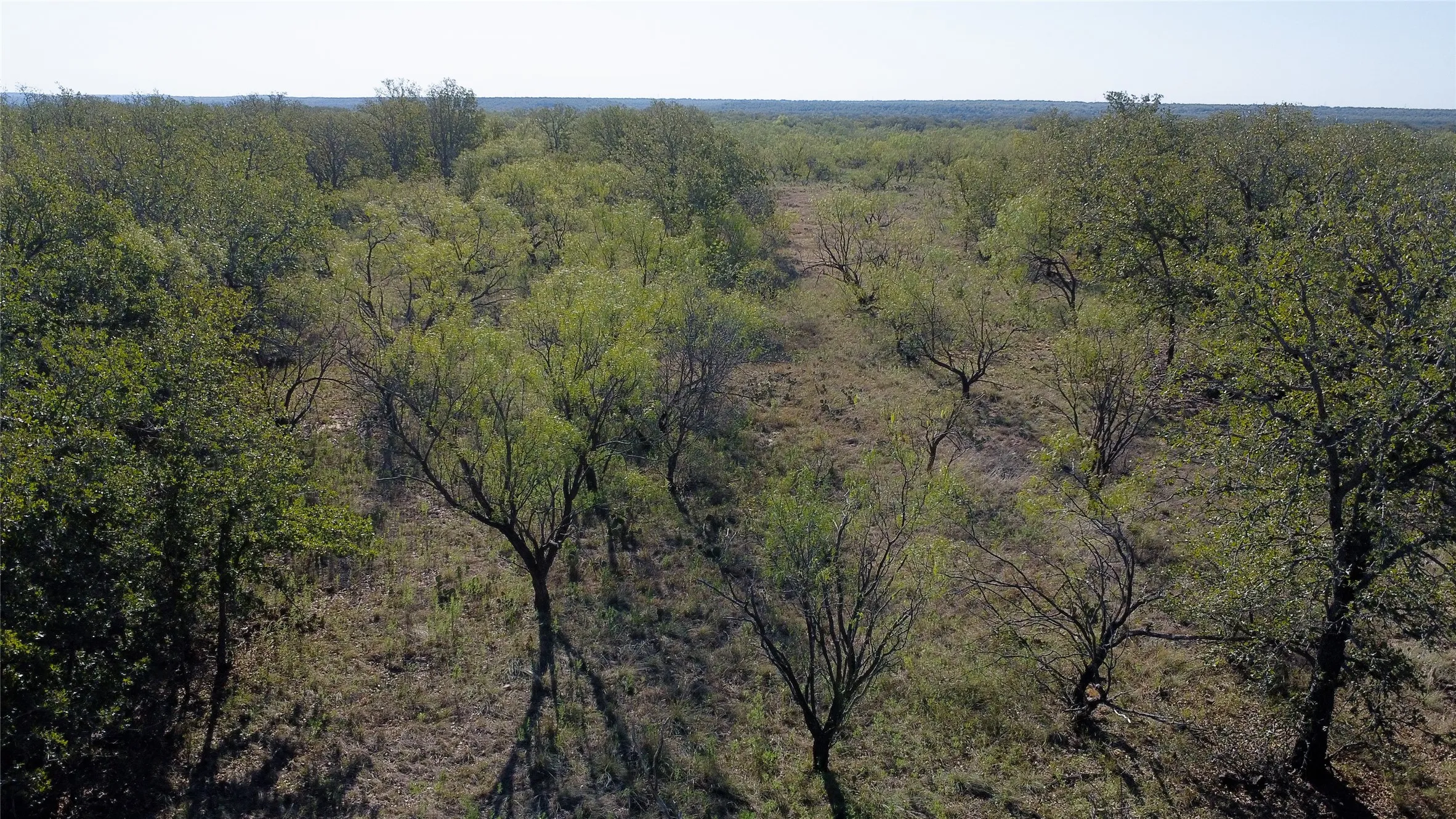 Ranch For Sale in Young County , 0000 Kramer Road, Graham, Texas 76450, 0, 0, Garage spaces, 0 Sqft, built in 0, mls#21419160, Real Estate Agent in Graham, Homes For Sale in Young county, Homes For Sale in Graham, Realtor in Graham Texas, Real Estate Brokerage Independent Realty Texas, Luminita Cordes Realtor