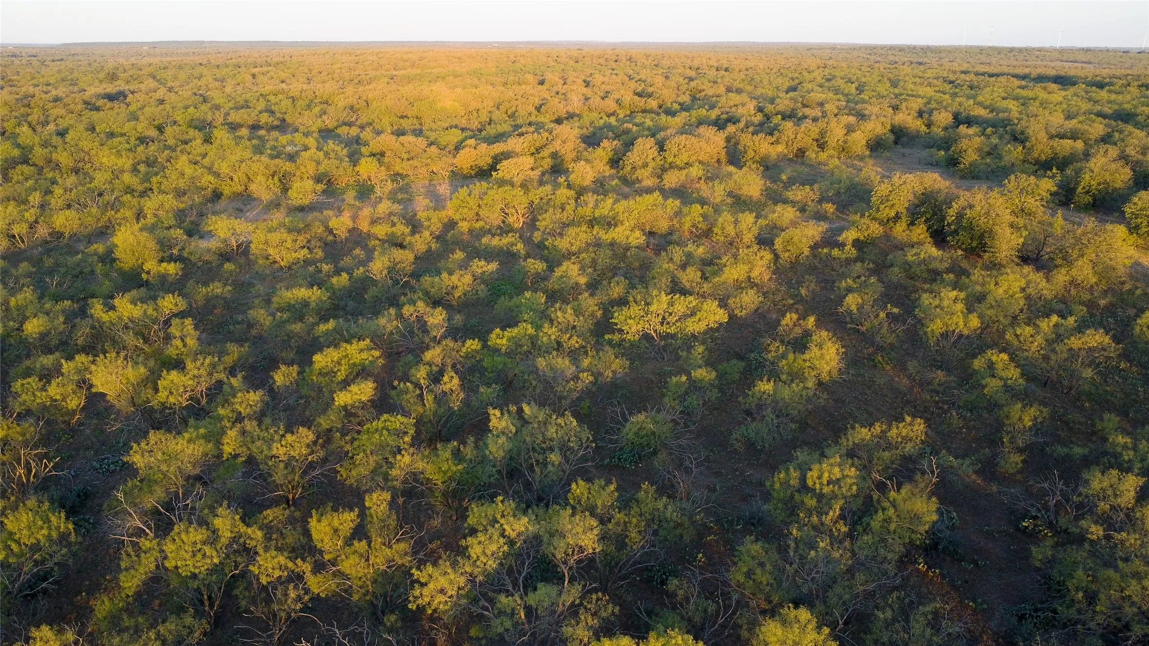 Ranch For Sale in Young County , 0000 Kramer Road, Graham, Texas 76450, 0, 0, Garage spaces, 0 Sqft, built in 0, mls#21419160, Real Estate Agent in Graham, Homes For Sale in Young county, Homes For Sale in Graham, Realtor in Graham Texas, Real Estate Brokerage Independent Realty Texas, Luminita Cordes Realtor
