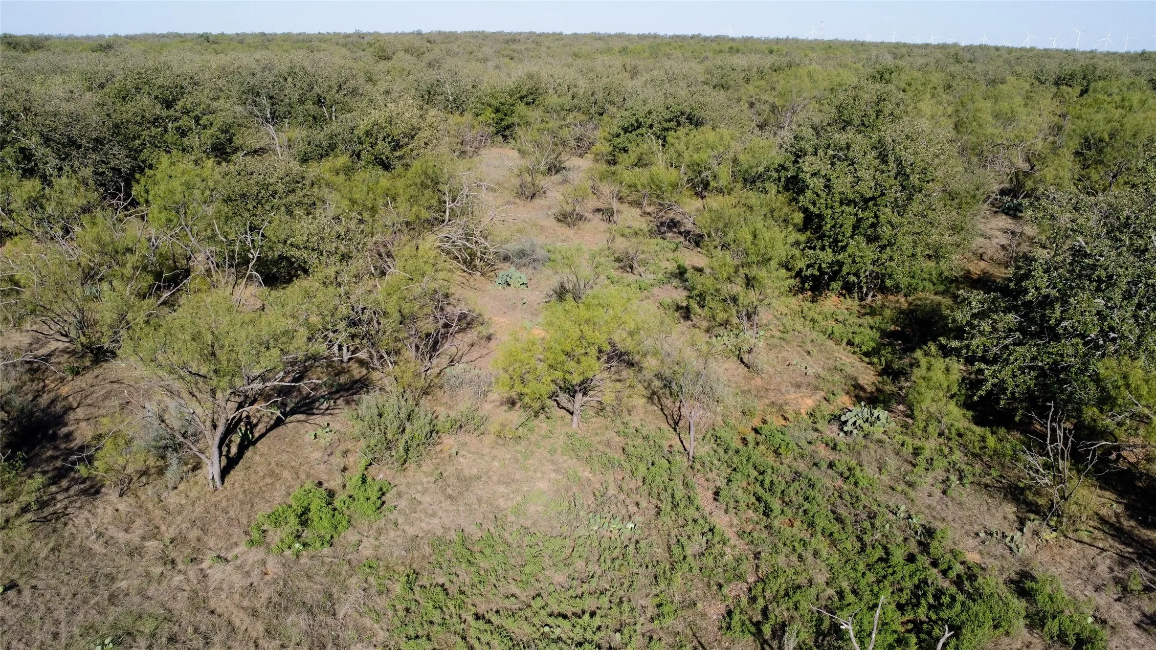 Ranch For Sale in Young County , 0000 Kramer Road, Graham, Texas 76450, 0, 0, Garage spaces, 0 Sqft, built in 0, mls#21419160, Real Estate Agent in Graham, Homes For Sale in Young county, Homes For Sale in Graham, Realtor in Graham Texas, Real Estate Brokerage Independent Realty Texas, Luminita Cordes Realtor