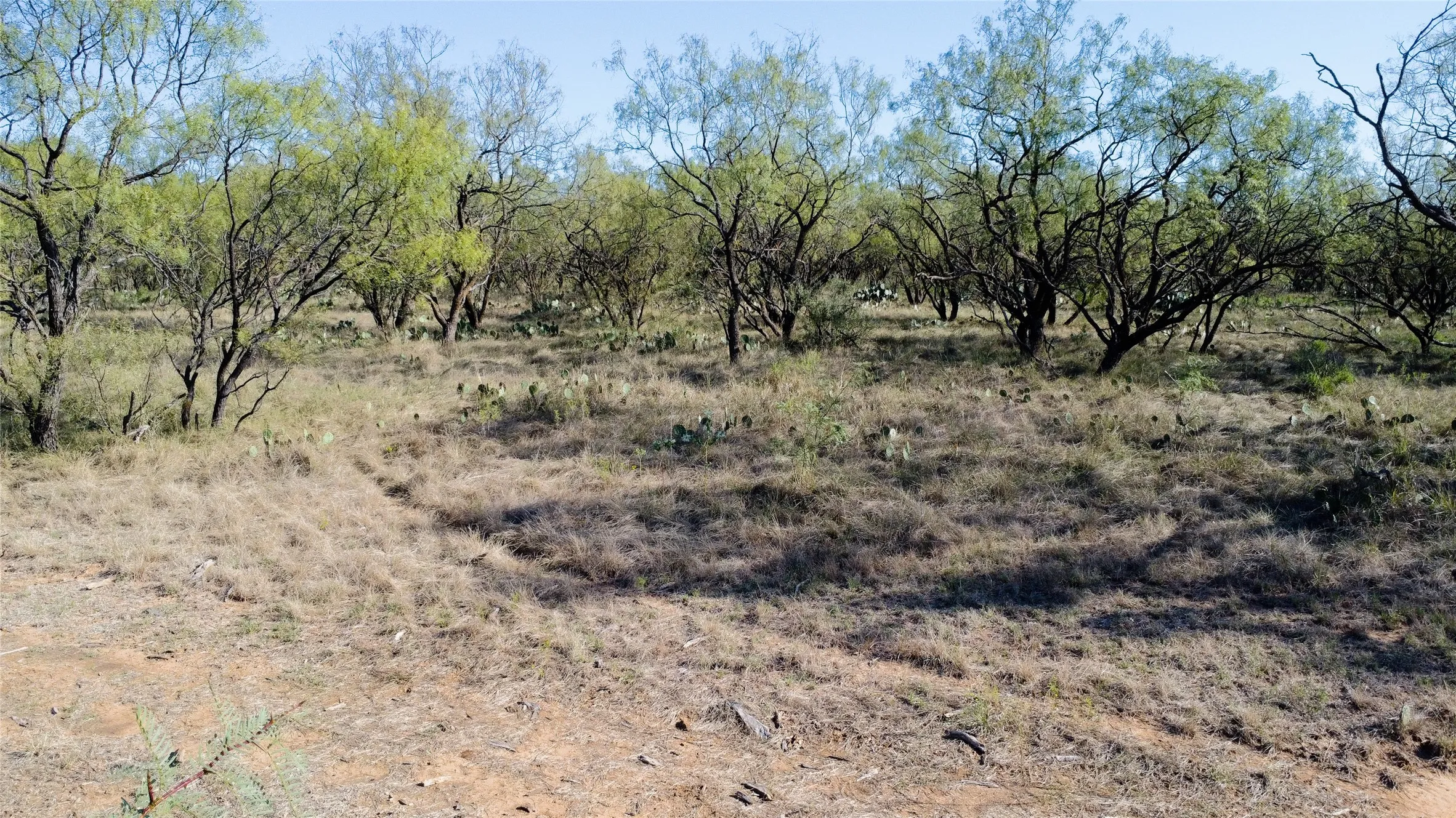 Ranch For Sale in Young County , 0000 Kramer Road, Graham, Texas 76450, 0, 0, Garage spaces, 0 Sqft, built in 0, mls#21419160, Real Estate Agent in Graham, Homes For Sale in Young county, Homes For Sale in Graham, Realtor in Graham Texas, Real Estate Brokerage Independent Realty Texas, Luminita Cordes Realtor