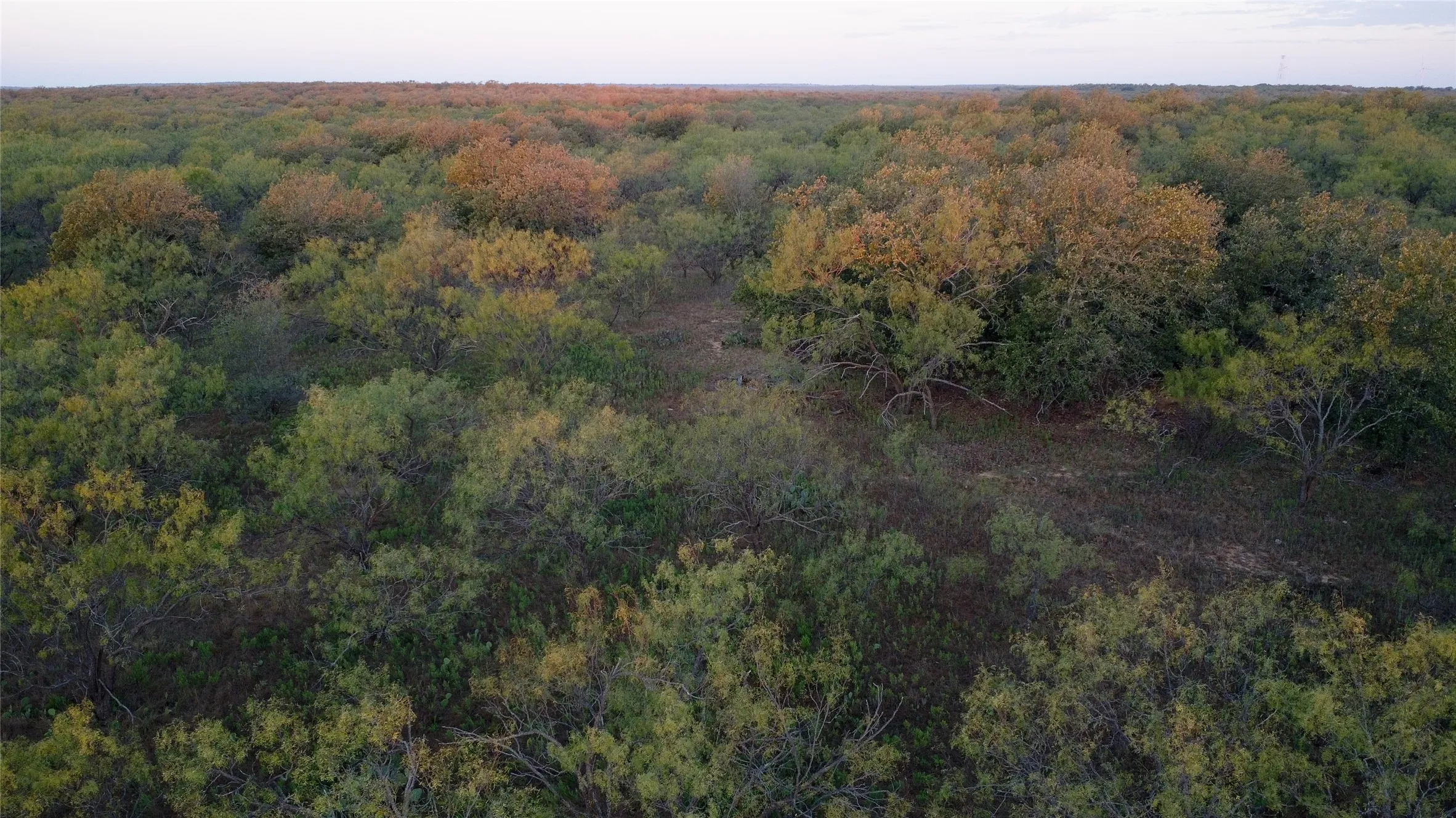 Ranch For Sale in Young County , 0000 Kramer Road, Graham, Texas 76450, 0, 0, Garage spaces, 0 Sqft, built in 0, mls#21419160, Real Estate Agent in Graham, Homes For Sale in Young county, Homes For Sale in Graham, Realtor in Graham Texas, Real Estate Brokerage Independent Realty Texas, Luminita Cordes Realtor