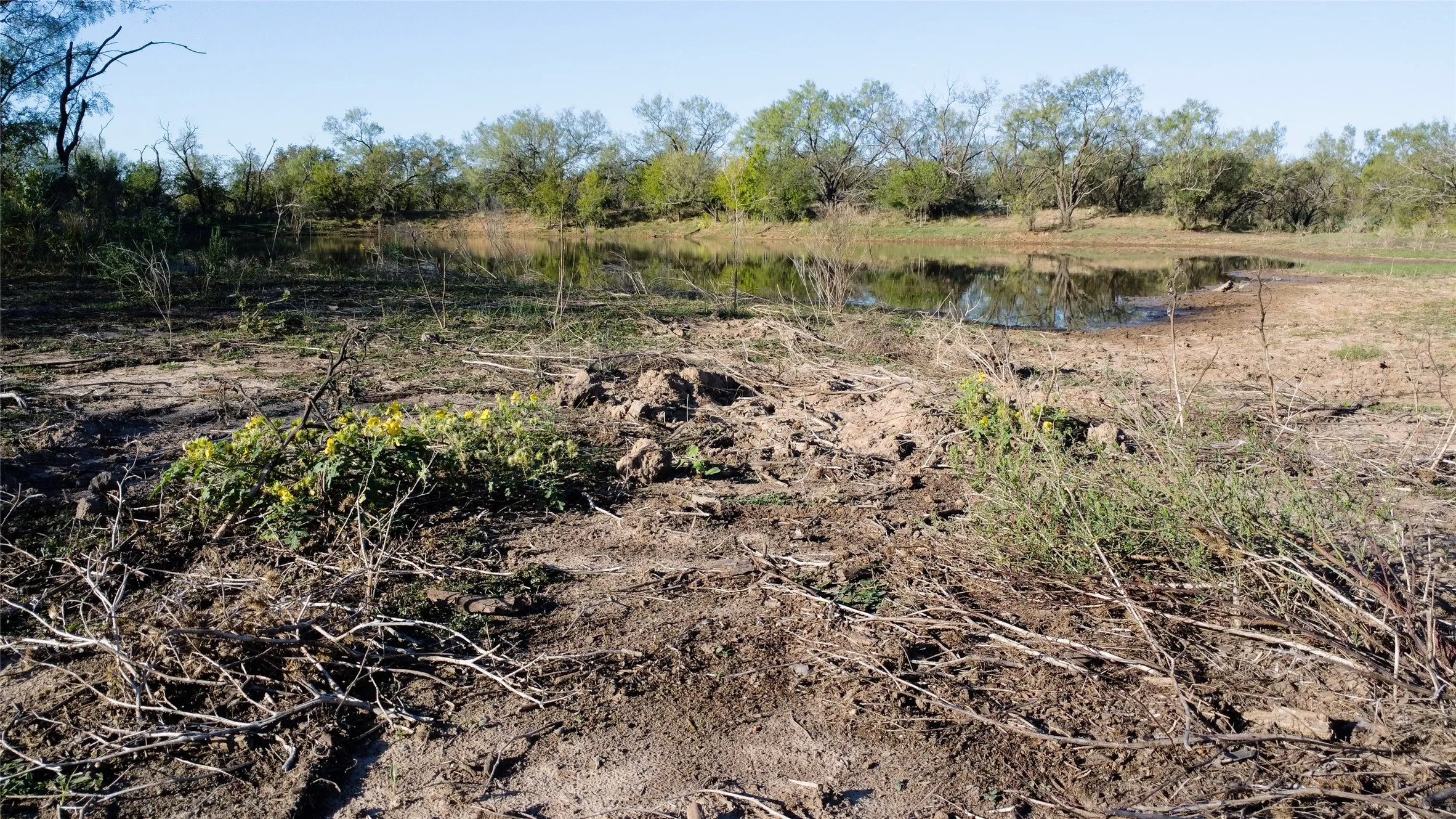 Ranch For Sale in Young County , 0000 Kramer Road, Graham, Texas 76450, 0, 0, Garage spaces, 0 Sqft, built in 0, mls#21419160, Real Estate Agent in Graham, Homes For Sale in Young county, Homes For Sale in Graham, Realtor in Graham Texas, Real Estate Brokerage Independent Realty Texas, Luminita Cordes Realtor