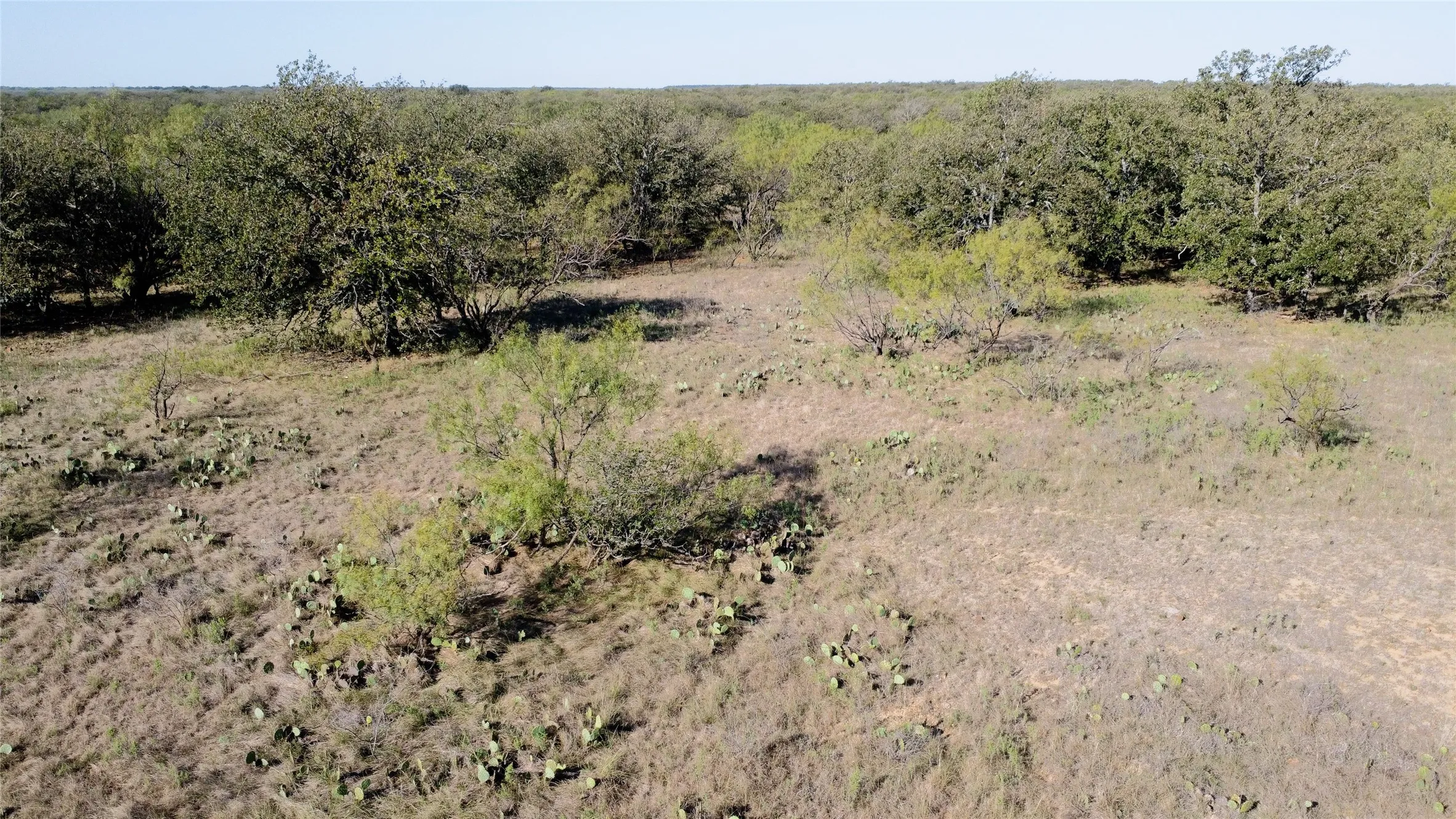 Ranch For Sale in Young County , 0000 Kramer Road, Graham, Texas 76450, 0, 0, Garage spaces, 0 Sqft, built in 0, mls#21419160, Real Estate Agent in Graham, Homes For Sale in Young county, Homes For Sale in Graham, Realtor in Graham Texas, Real Estate Brokerage Independent Realty Texas, Luminita Cordes Realtor