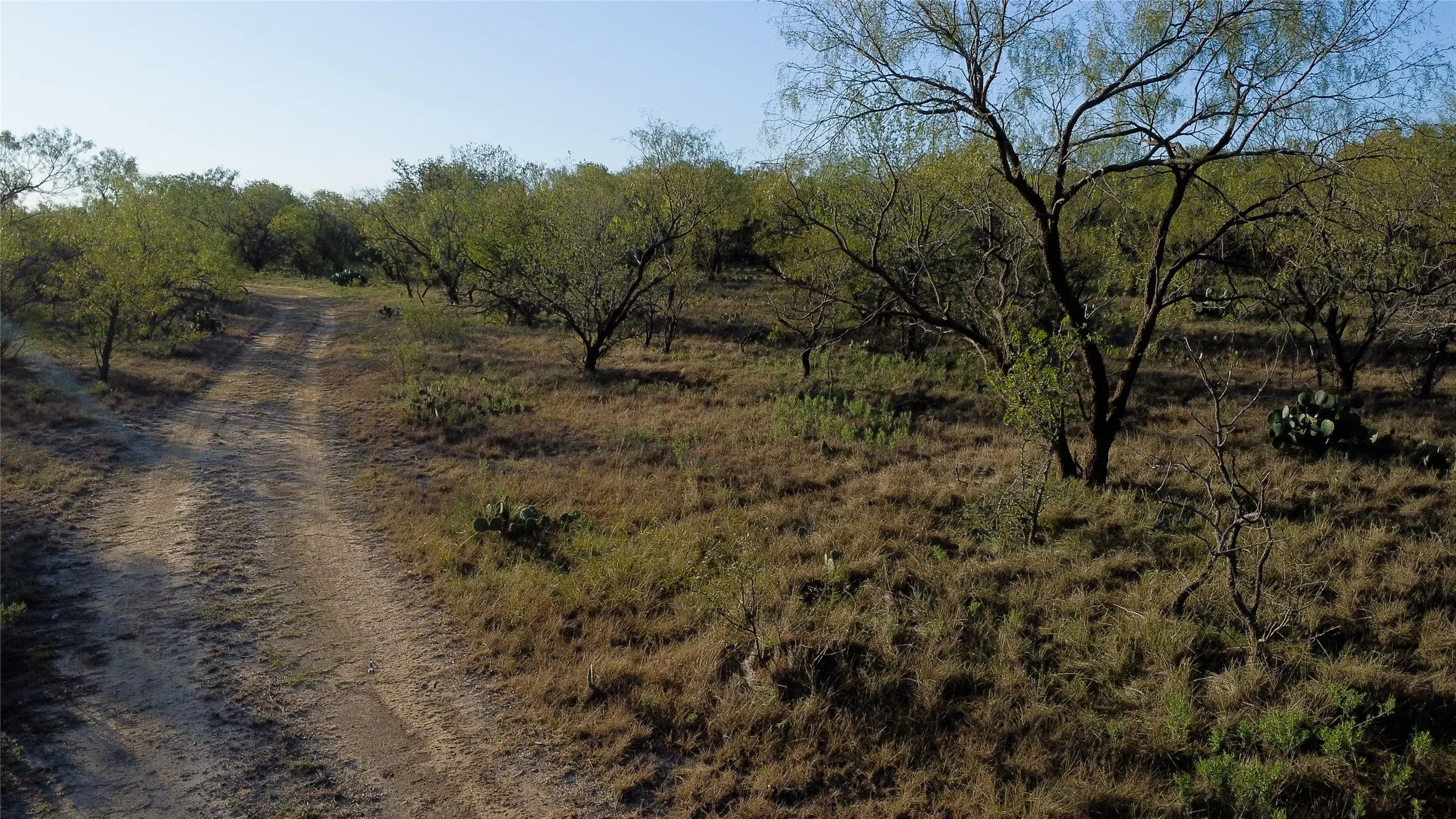 Ranch For Sale in Young County , 0000 Kramer Road, Graham, Texas 76450, 0, 0, Garage spaces, 0 Sqft, built in 0, mls#21419160, Real Estate Agent in Graham, Homes For Sale in Young county, Homes For Sale in Graham, Realtor in Graham Texas, Real Estate Brokerage Independent Realty Texas, Luminita Cordes Realtor