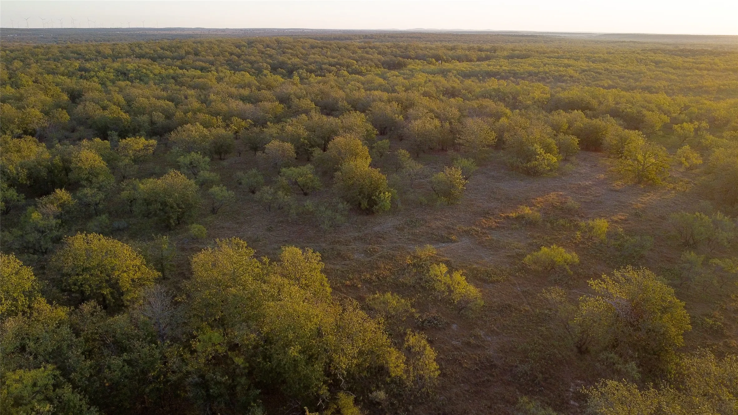 Ranch For Sale in Young County , 0000 Kramer Road, Graham, Texas 76450, 0, 0, Garage spaces, 0 Sqft, built in 0, mls#21419160, Real Estate Agent in Graham, Homes For Sale in Young county, Homes For Sale in Graham, Realtor in Graham Texas, Real Estate Brokerage Independent Realty Texas, Luminita Cordes Realtor