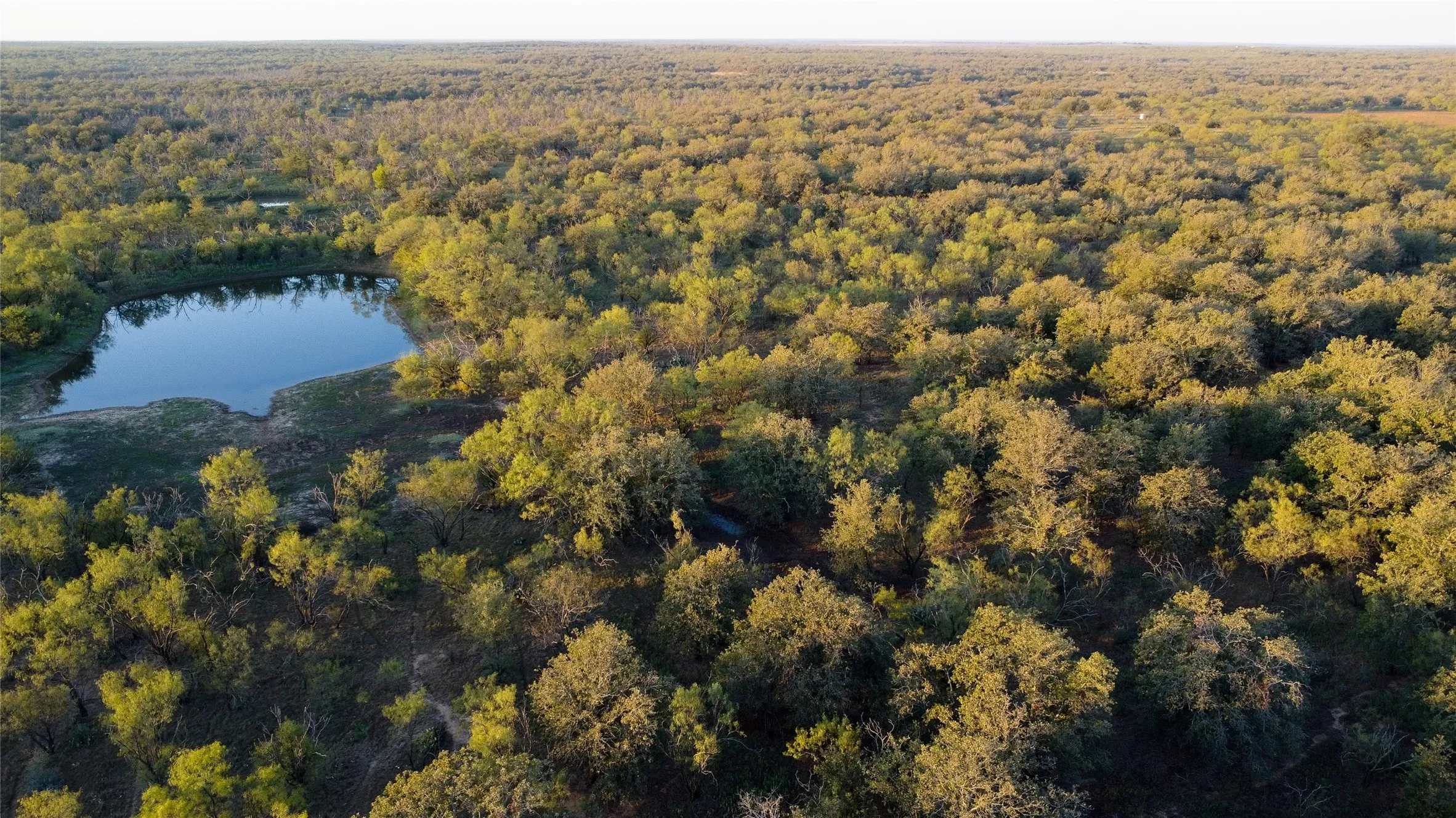 Ranch For Sale in Young County , 0000 Kramer Road, Graham, Texas 76450, 0, 0, Garage spaces, 0 Sqft, built in 0, mls#21419160, Real Estate Agent in Graham, Homes For Sale in Young county, Homes For Sale in Graham, Realtor in Graham Texas, Real Estate Brokerage Independent Realty Texas, Luminita Cordes Realtor