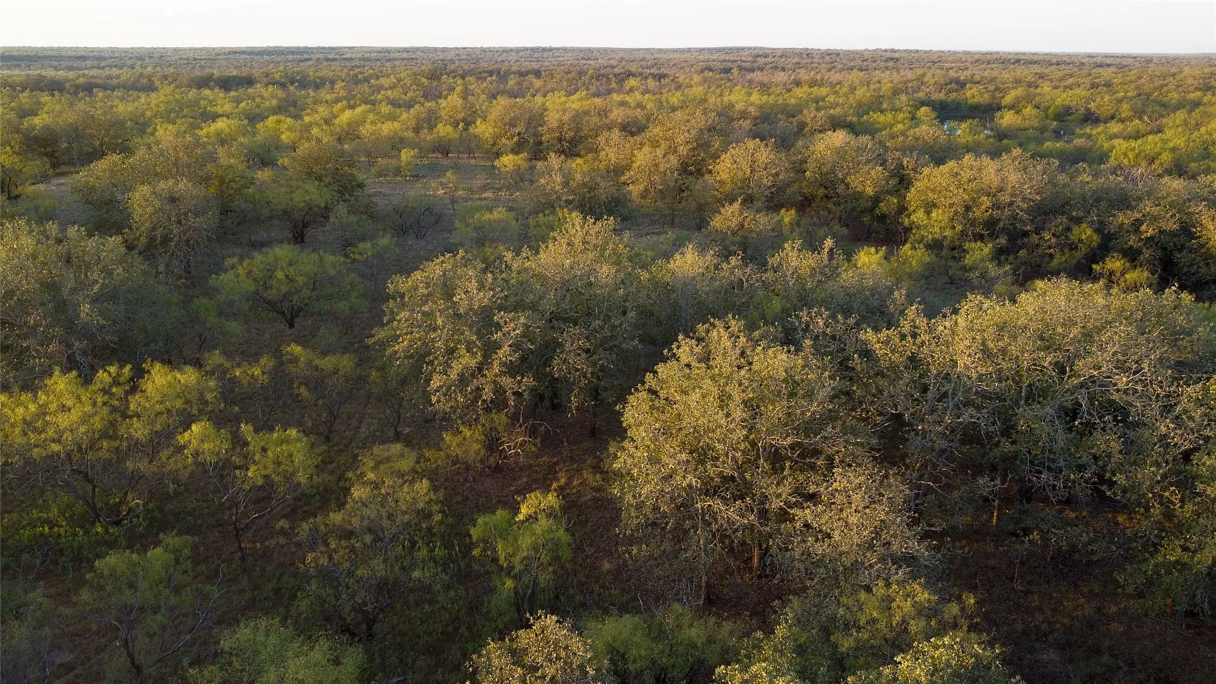 Ranch For Sale in Young County , 0000 Kramer Road, Graham, Texas 76450, 0, 0, Garage spaces, 0 Sqft, built in 0, mls#21419160, Real Estate Agent in Graham, Homes For Sale in Young county, Homes For Sale in Graham, Realtor in Graham Texas, Real Estate Brokerage Independent Realty Texas, Luminita Cordes Realtor