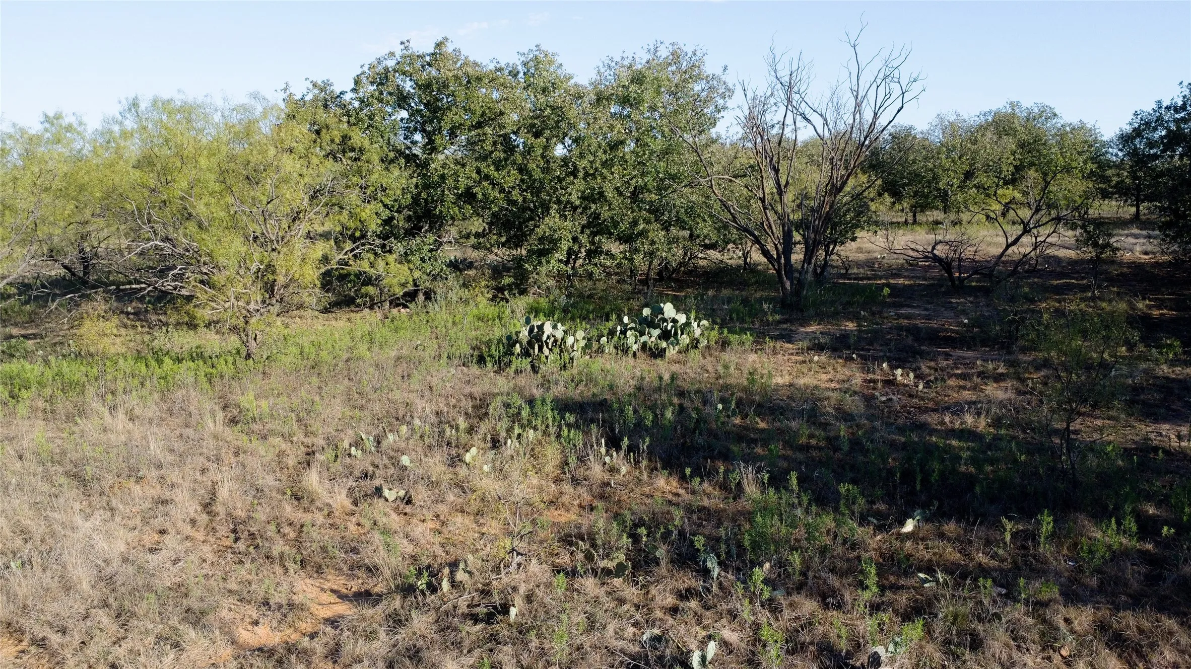Ranch For Sale in Young County , 0000 Kramer Road, Graham, Texas 76450, 0, 0, Garage spaces, 0 Sqft, built in 0, mls#21419160, Real Estate Agent in Graham, Homes For Sale in Young county, Homes For Sale in Graham, Realtor in Graham Texas, Real Estate Brokerage Independent Realty Texas, Luminita Cordes Realtor