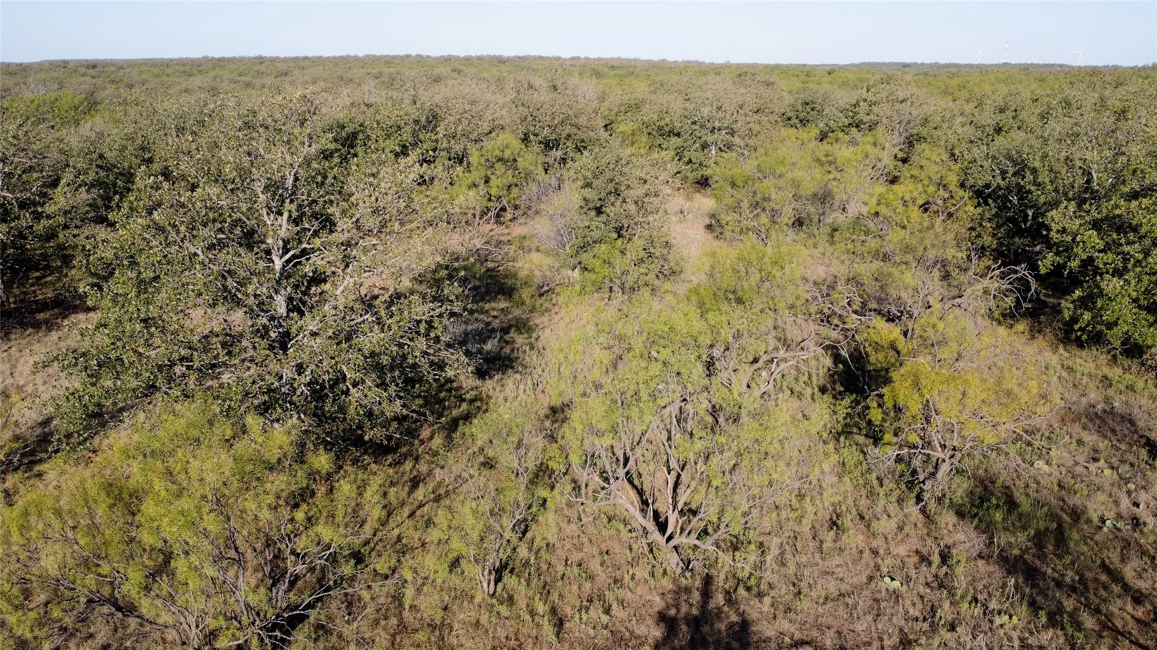 Ranch For Sale in Young County , 0000 Kramer Road, Graham, Texas 76450, 0, 0, Garage spaces, 0 Sqft, built in 0, mls#21419160, Real Estate Agent in Graham, Homes For Sale in Young county, Homes For Sale in Graham, Realtor in Graham Texas, Real Estate Brokerage Independent Realty Texas, Luminita Cordes Realtor