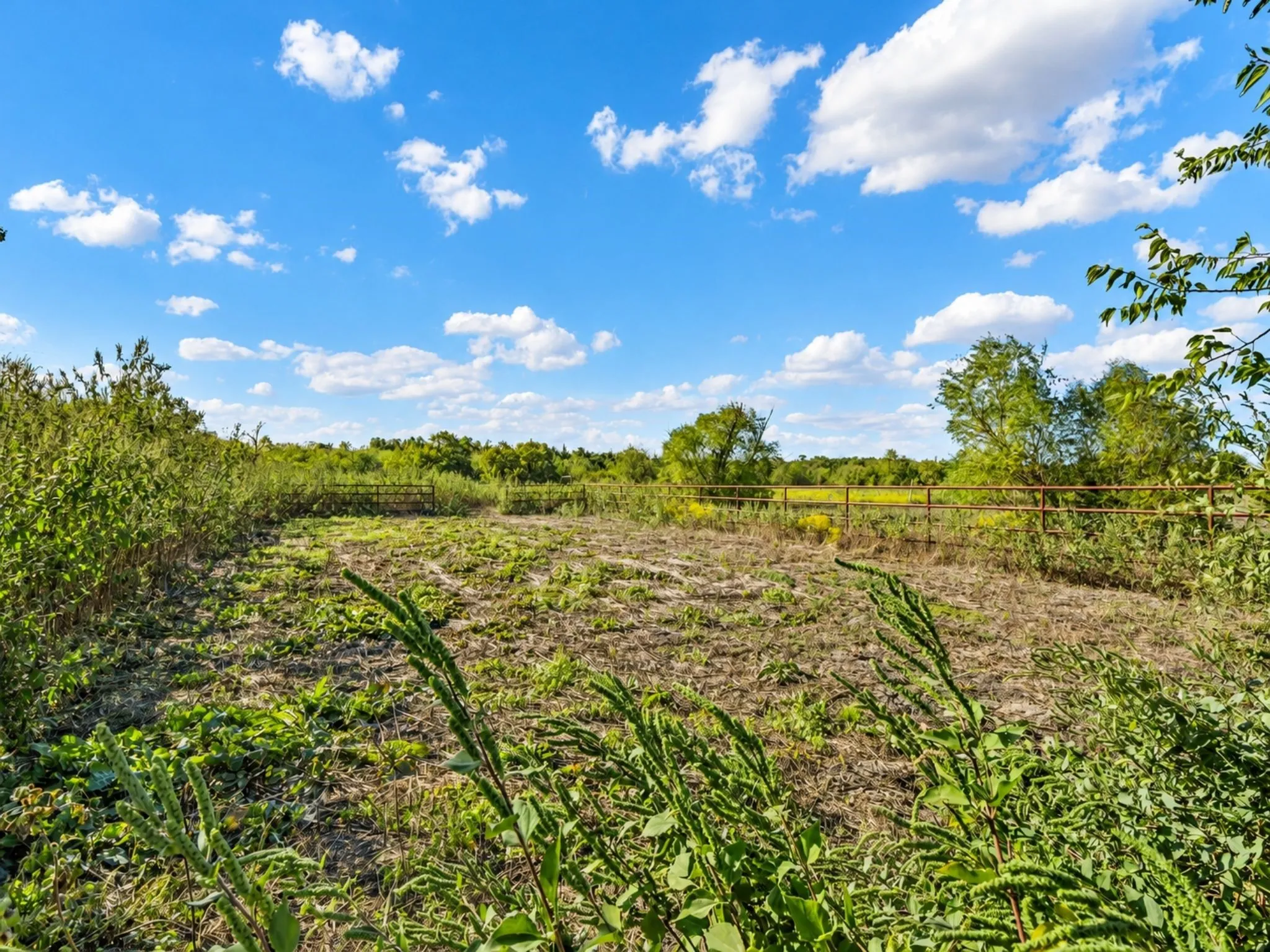 Expansive lot featuring mature trees, natural vegetation, and metal perimeter fencing