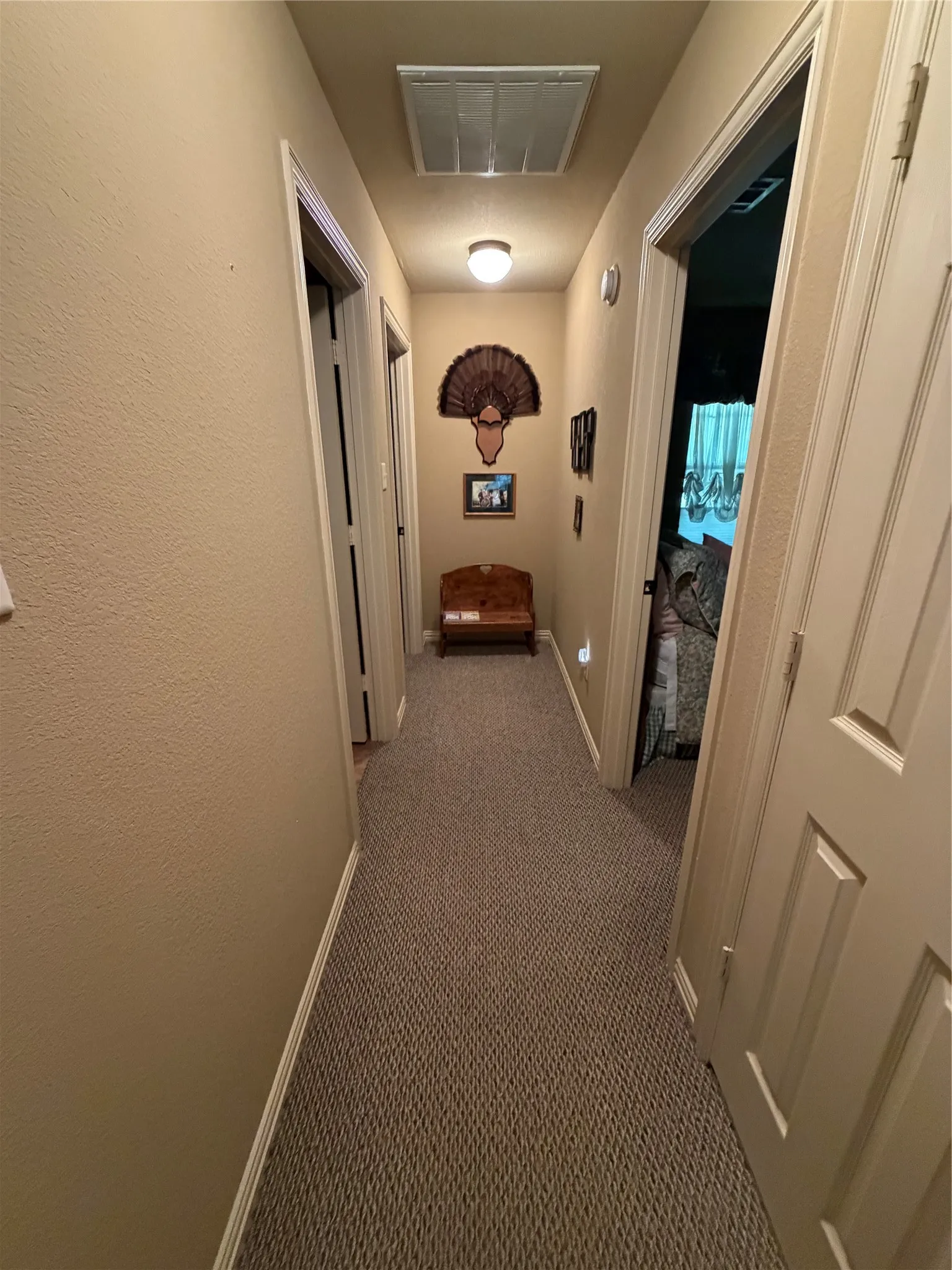 Interior hallway featuring neutral-toned carpeting, solid-panel interior doors, and a ceiling-mounted light fixture