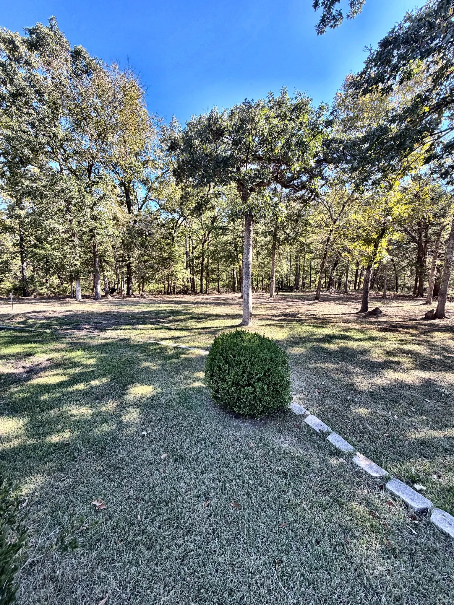 Expansive grounds featuring a manicured lawn, established shade trees, a structured shrub, and stone landscape edging