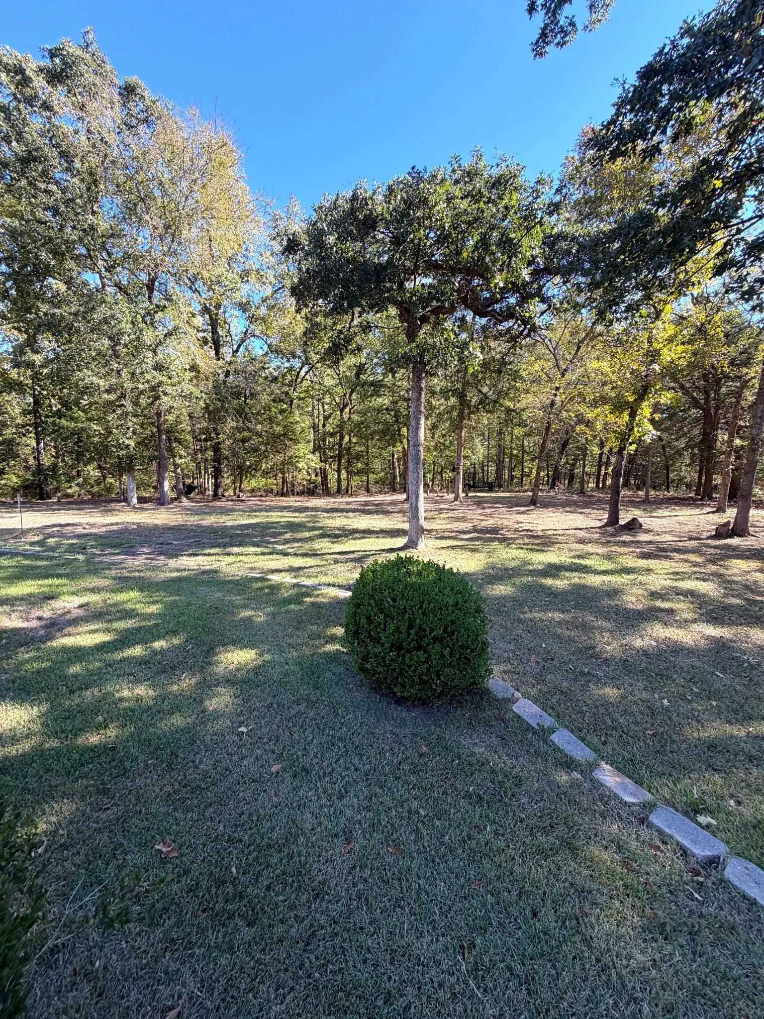 Expansive yard featuring mature trees, manicured lawn, established shrubbery, and stone landscape edging