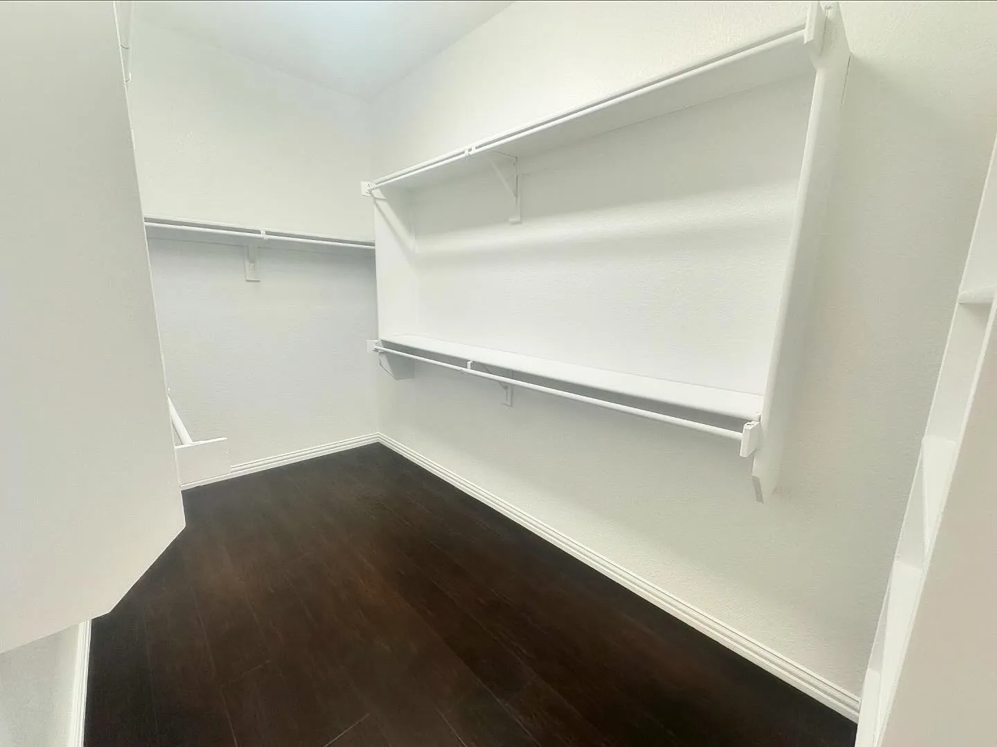 Spacious closet featuring dark wood-type flooring