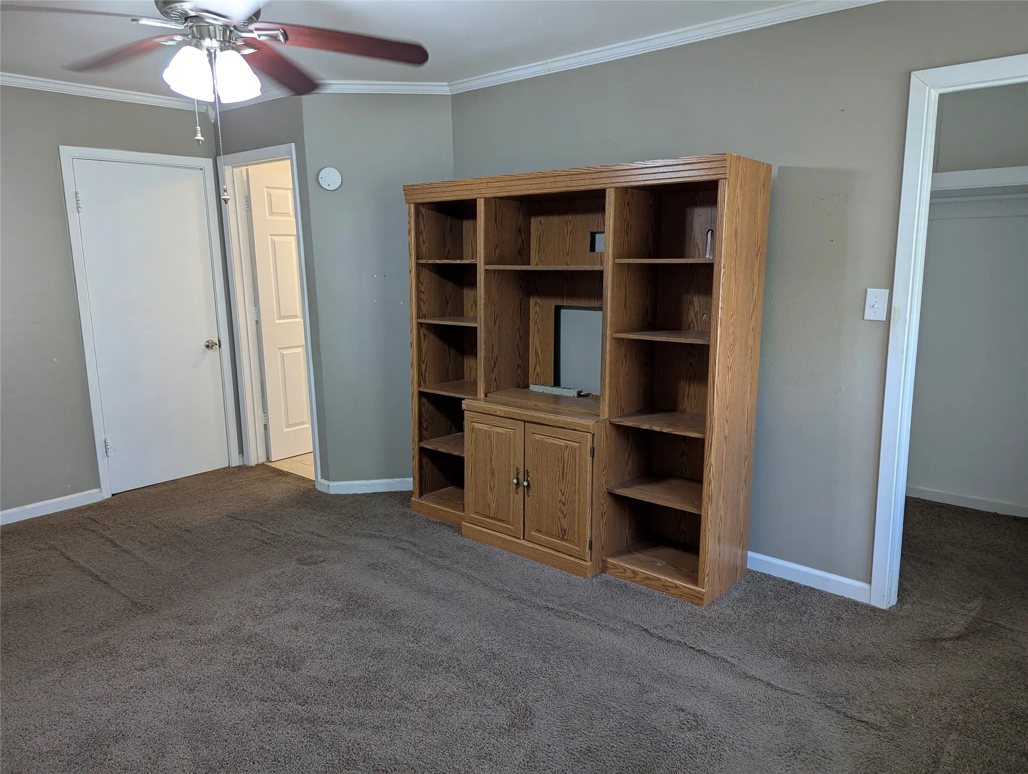 View 3: Spacious primary bedroom featuring carpeted flooring, a ceiling fan, and built-in shelving for display or storage.
