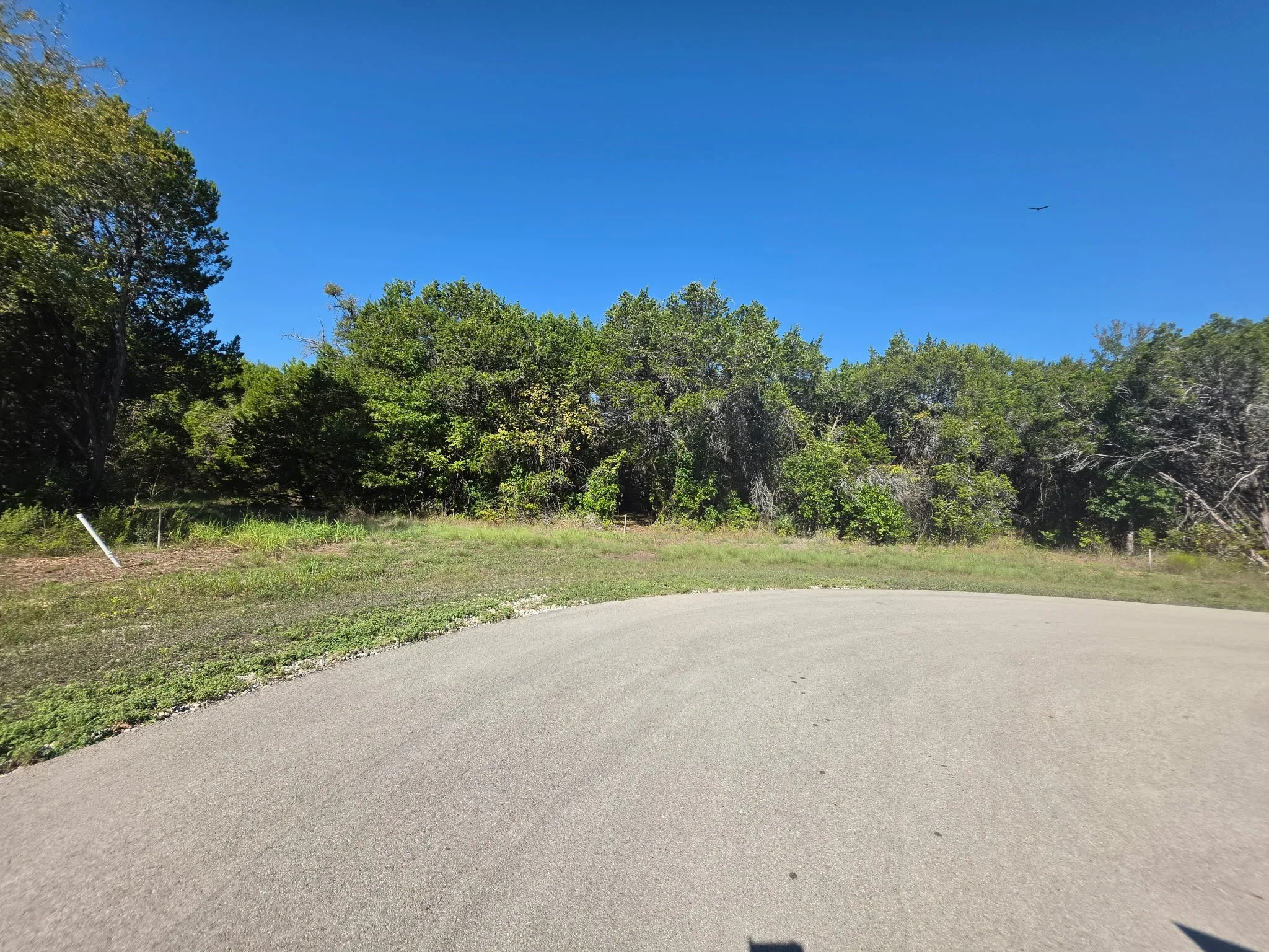Vacant lot featuring paved road access and mature trees