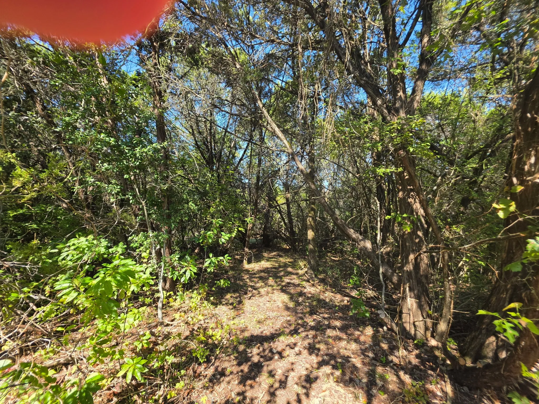 Wooded lot featuring mature trees and natural landscaping