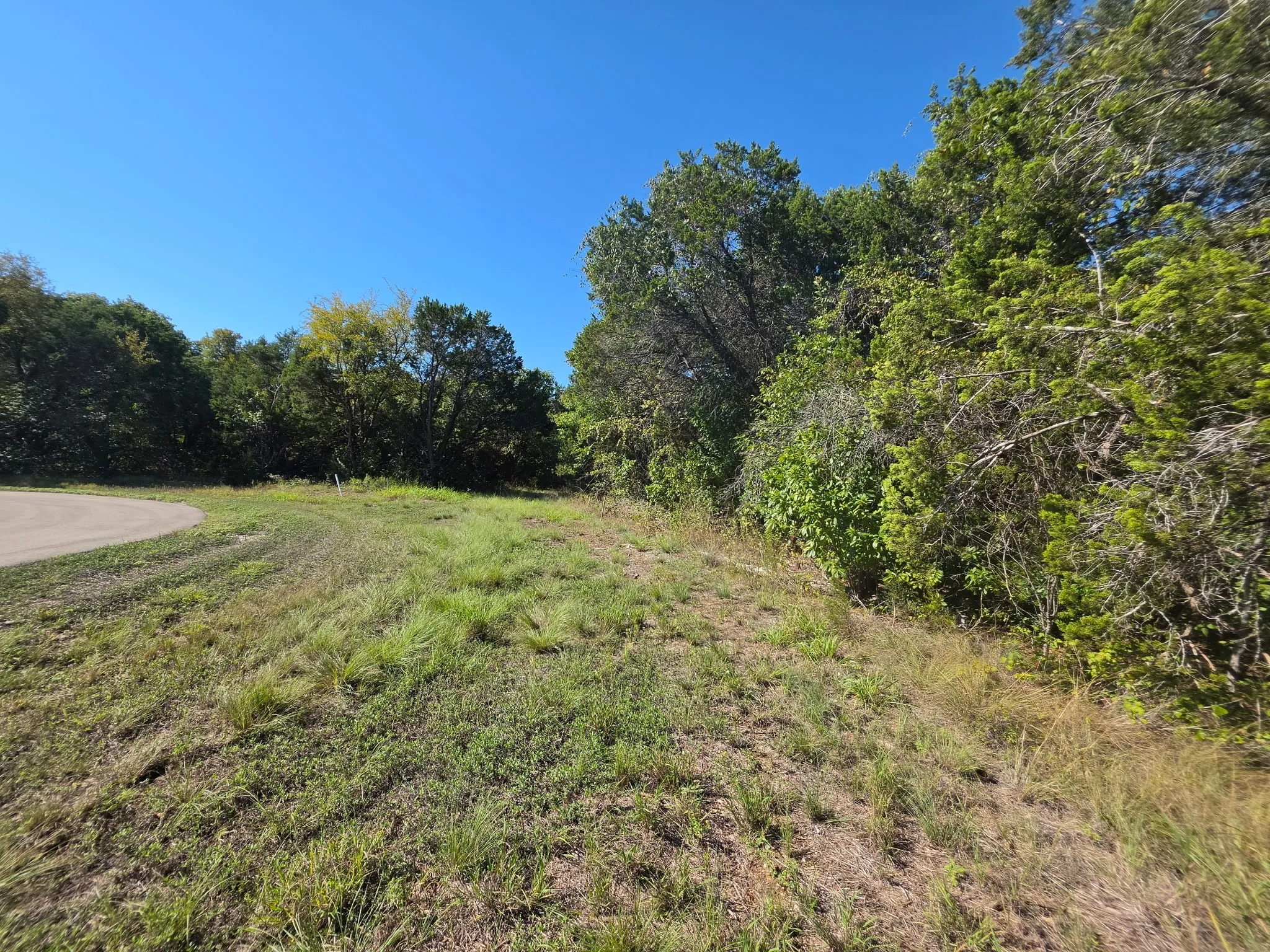Expansive land parcel featuring native grasses, mature trees, and paved road access