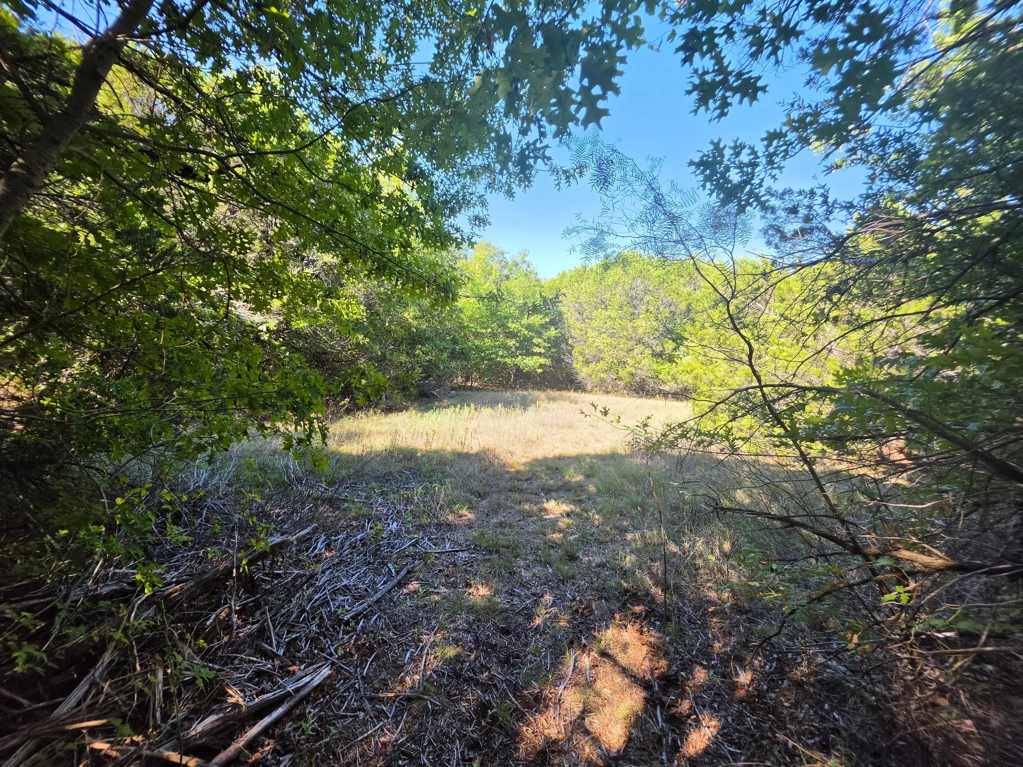Wooded lot featuring open clearing and mature trees