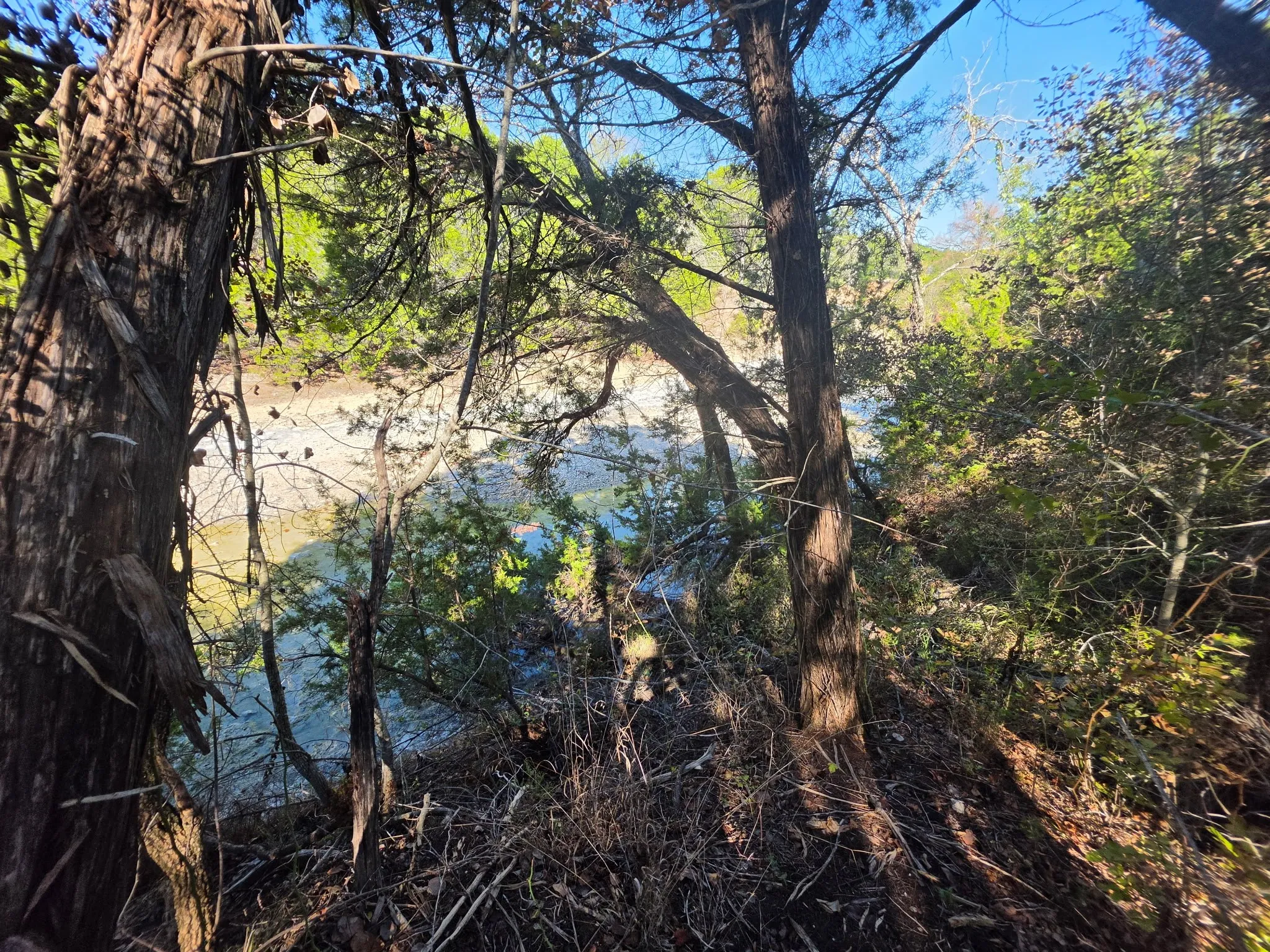 Natural wooded terrain featuring mature trees, diverse vegetation, and river frontage