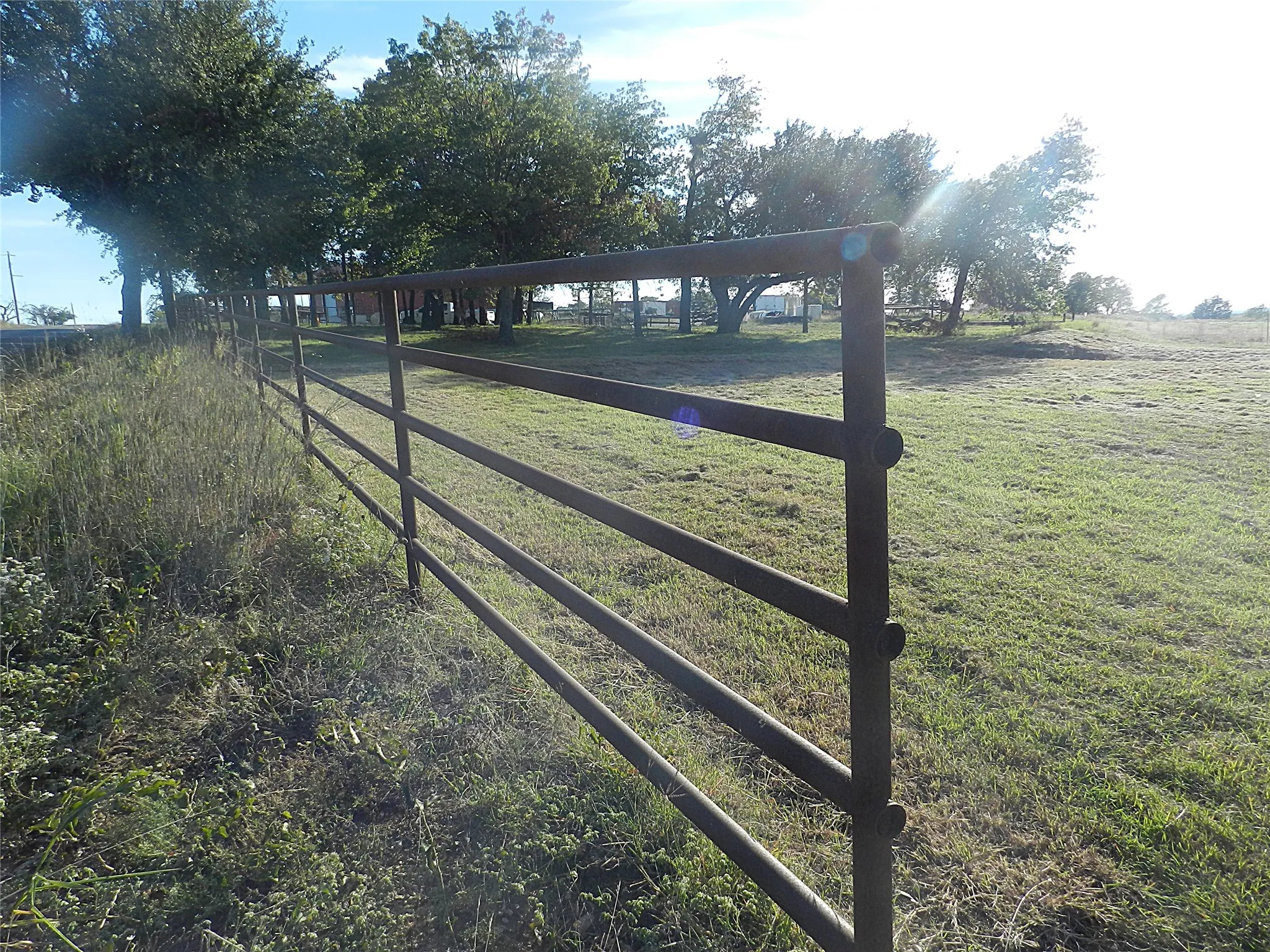 Four-rail metal tubular fencing enclosing open acreage with mature tree canopy