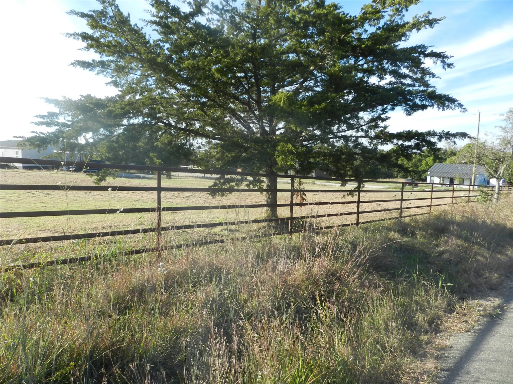 Expansive open land featuring a metal post-and-rail fence, mature coniferous tree, and level terrain