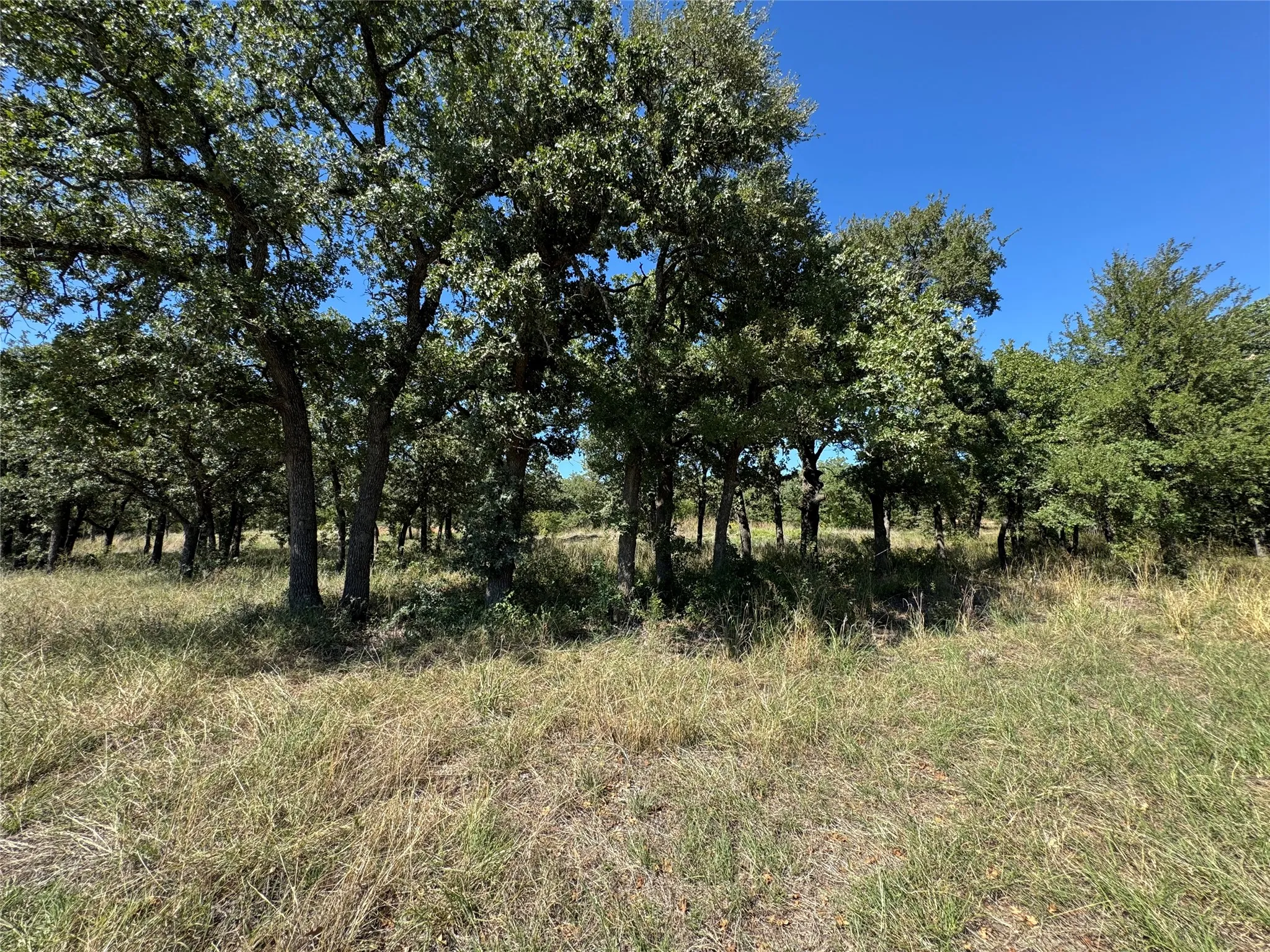 Unimproved Land For Sale in Palo Pinto County , 395 Hilltop Drive, Mineral Wells, Texas 76067, 0, 0, Garage spaces, 0 Sqft, built in 0, mls#21419841, Real Estate Agent in Mineral Wells, Homes For Sale in Palo Pinto county, Homes For Sale in Mineral Wells, Realtor in Mineral Wells Texas, Real Estate Brokerage Independent Realty Texas, Luminita Cordes Realtor