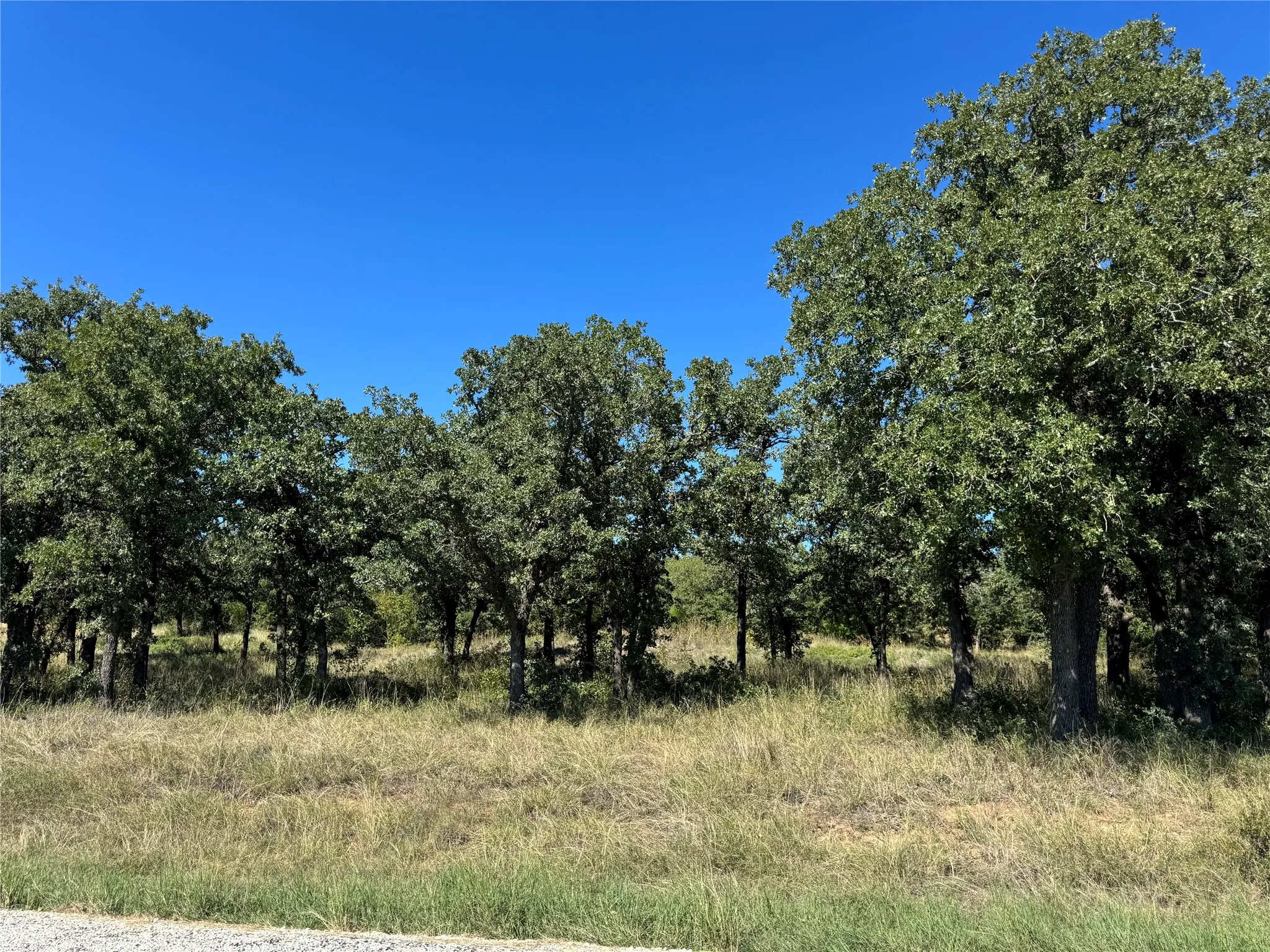 Unimproved Land For Sale in Palo Pinto County , 395 Hilltop Drive, Mineral Wells, Texas 76067, 0, 0, Garage spaces, 0 Sqft, built in 0, mls#21419841, Real Estate Agent in Mineral Wells, Homes For Sale in Palo Pinto county, Homes For Sale in Mineral Wells, Realtor in Mineral Wells Texas, Real Estate Brokerage Independent Realty Texas, Luminita Cordes Realtor