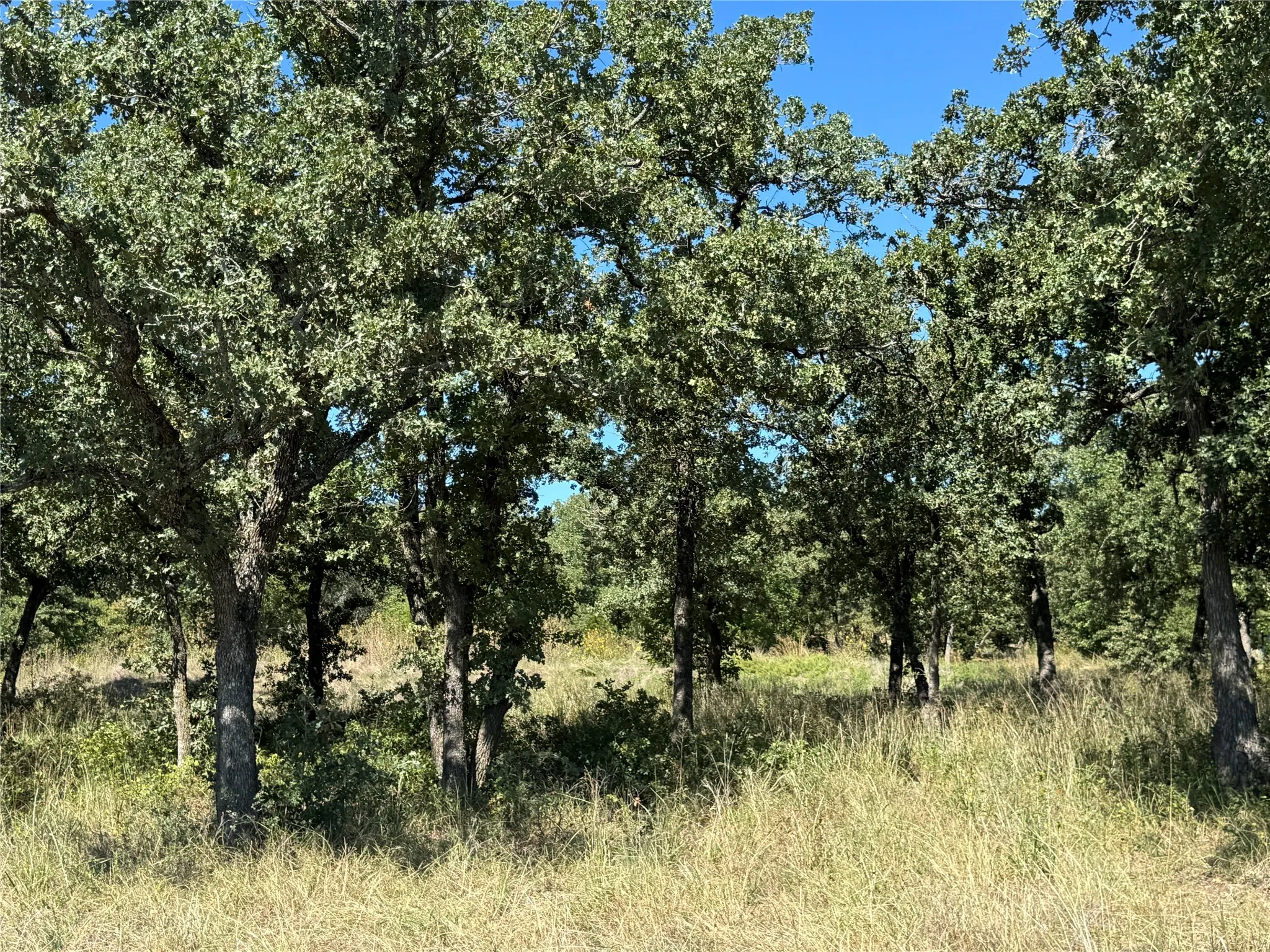 Unimproved Land For Sale in Palo Pinto County , 395 Hilltop Drive, Mineral Wells, Texas 76067, 0, 0, Garage spaces, 0 Sqft, built in 0, mls#21419841, Real Estate Agent in Mineral Wells, Homes For Sale in Palo Pinto county, Homes For Sale in Mineral Wells, Realtor in Mineral Wells Texas, Real Estate Brokerage Independent Realty Texas, Luminita Cordes Realtor