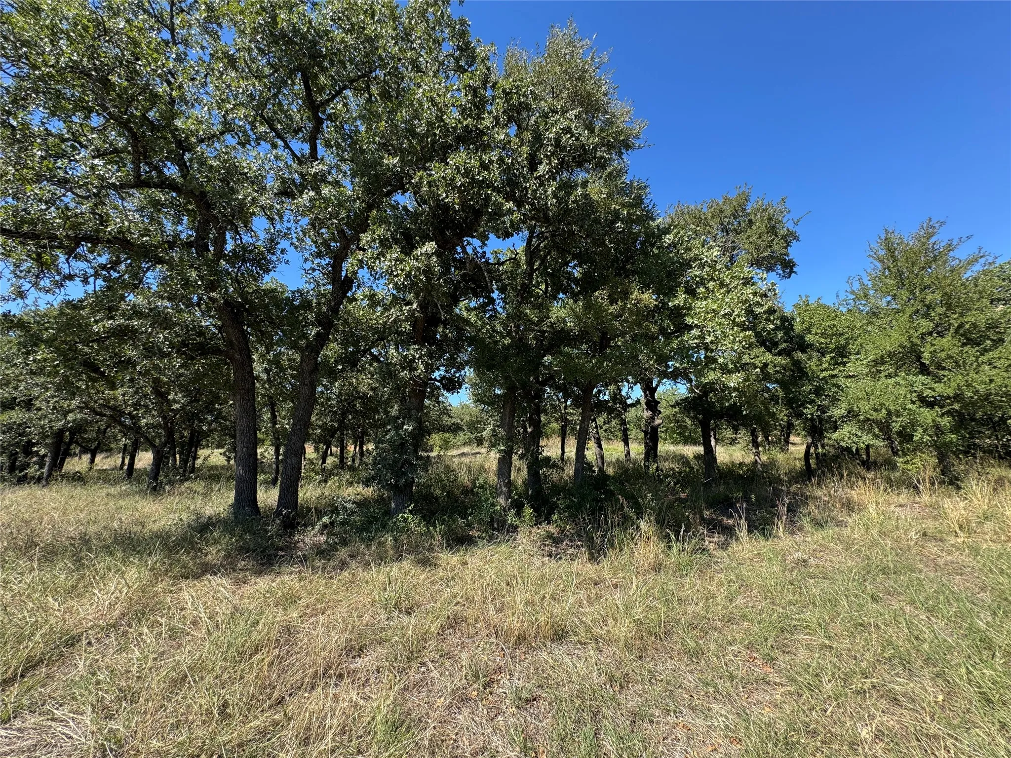 Unimproved Land For Sale