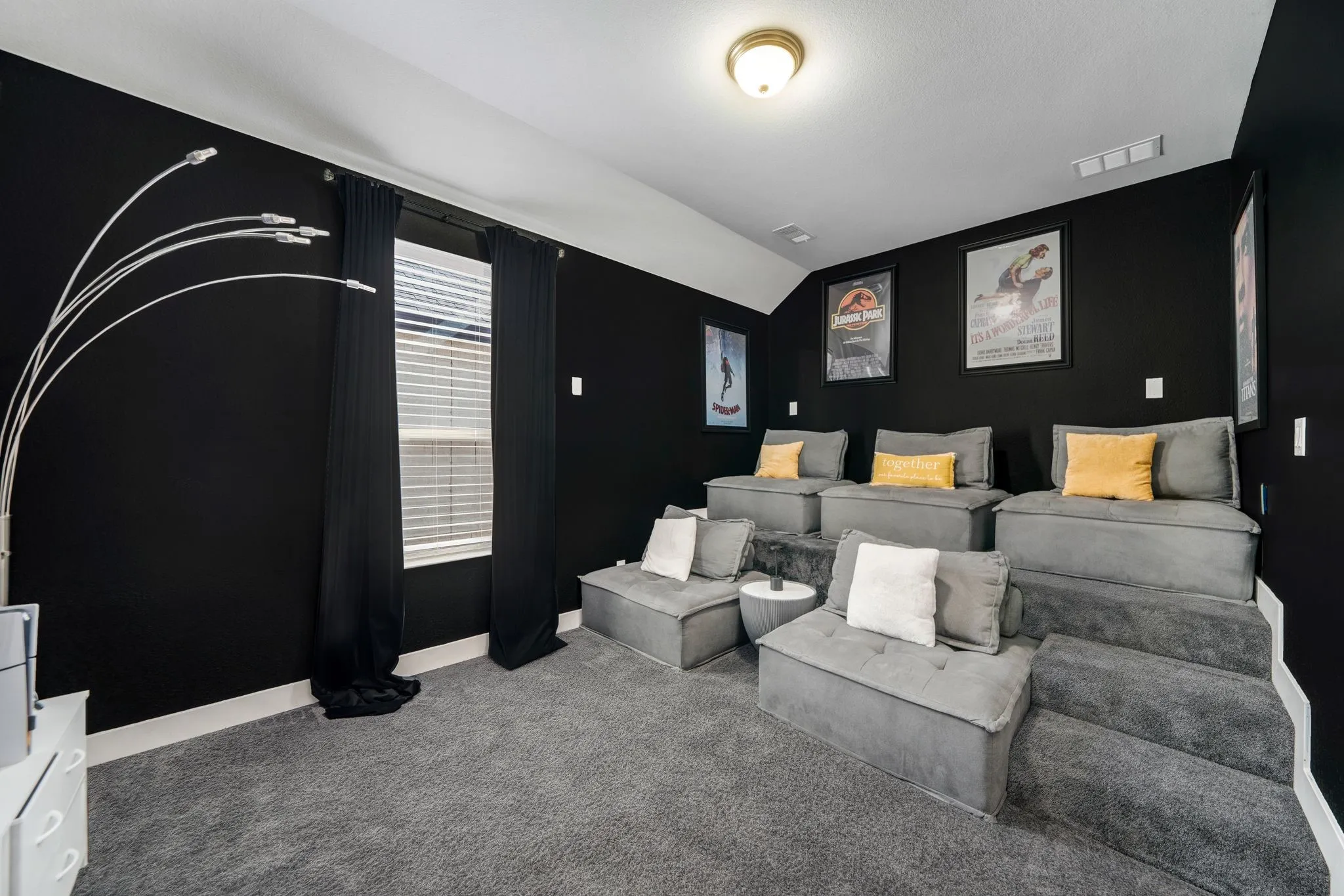 Tiered platform flooring, carpeted room, and a single flush-mount ceiling light fixture