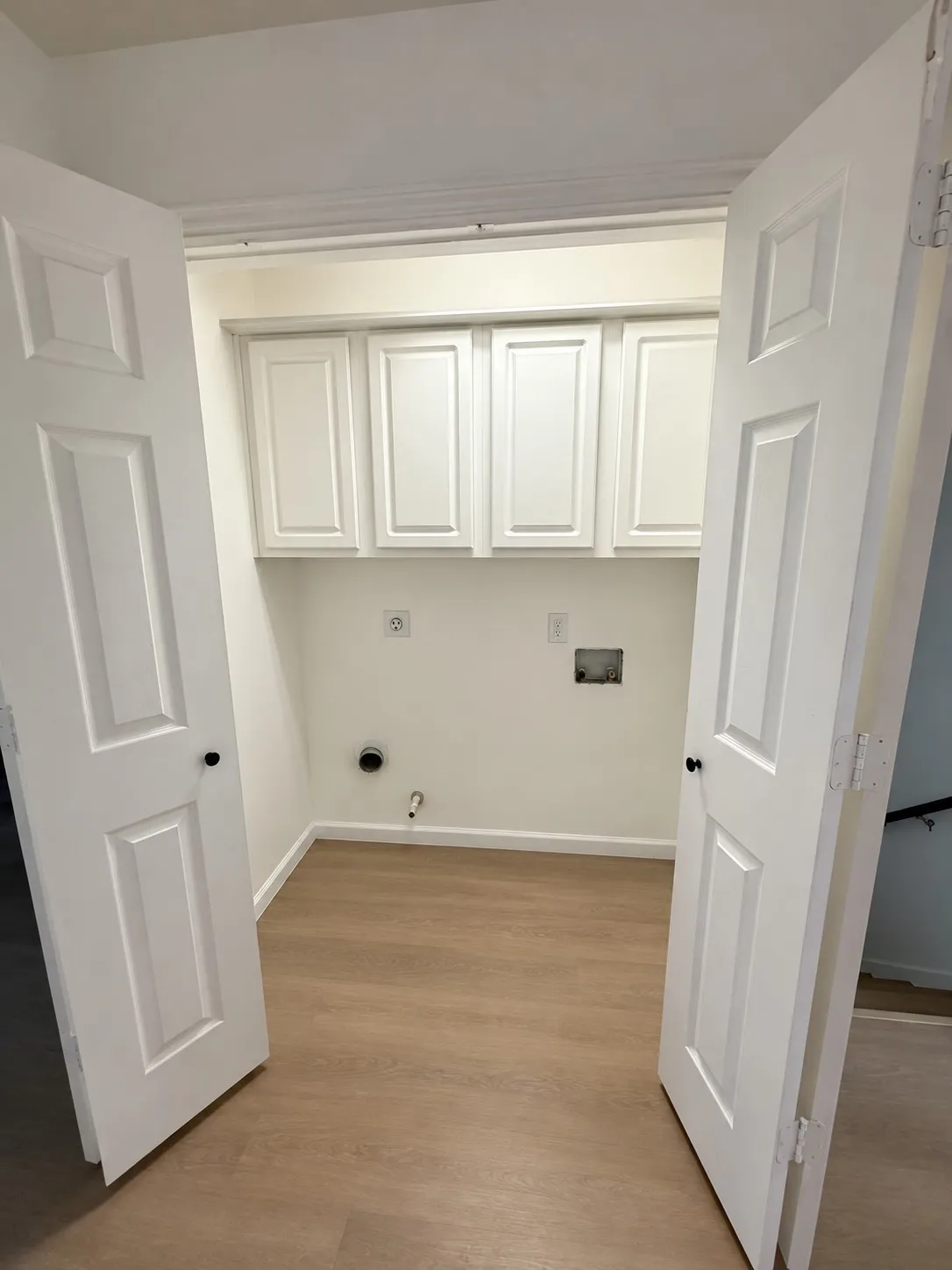 Utility closet featuring white raised-panel cabinetry, wood-finish flooring, and double swing doors