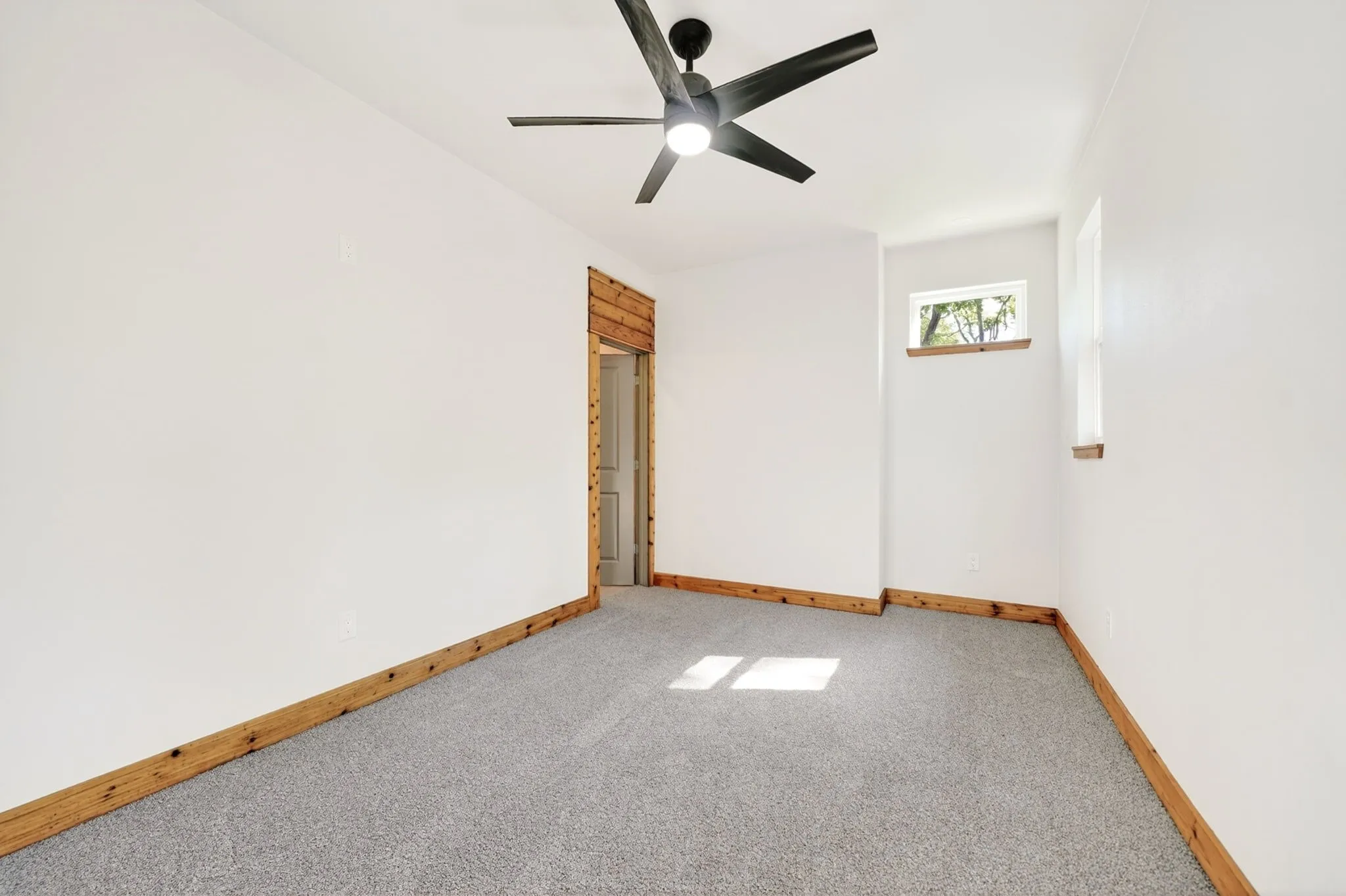 Neutral interior featuring wall-to-wall carpeting, matte black ceiling fan with integrated lighting, wood-trim doorway and window sills, and dual windows