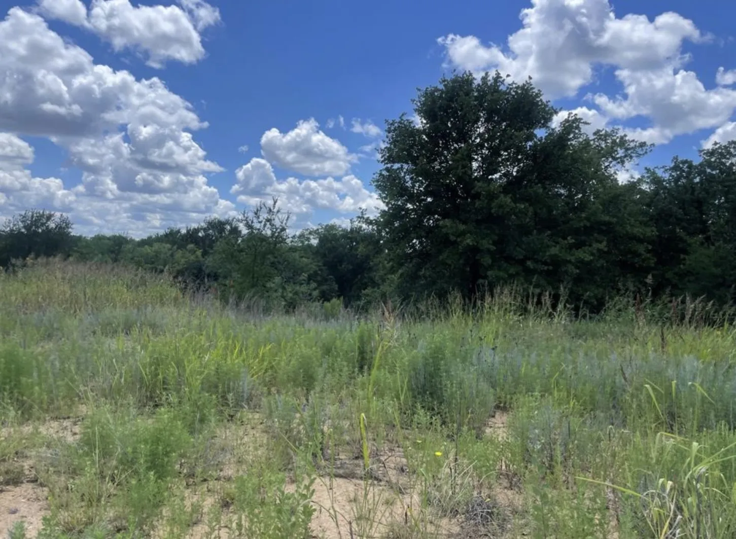 Unimproved Land For Sale in Young County , 000 Lower Tonk Valley Road, Graham, Texas 76450, 0, 0, Garage spaces, 0 Sqft, built in 0, mls#21418331, Real Estate Agent in Graham, Homes For Sale in Young county, Homes For Sale in Graham, Realtor in Graham Texas, Real Estate Brokerage Independent Realty Texas, Luminita Cordes Realtor