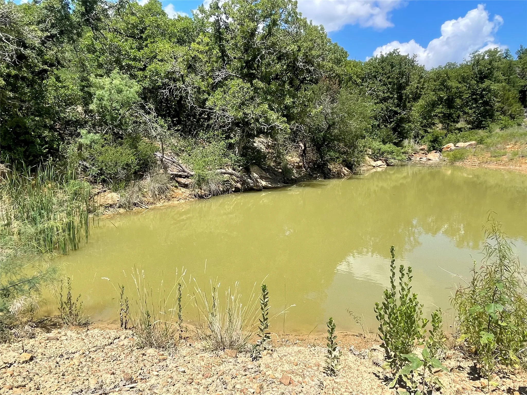 Unimproved Land For Sale in Young County , 000 Lower Tonk Valley Road, Graham, Texas 76450, 0, 0, Garage spaces, 0 Sqft, built in 0, mls#21418331, Real Estate Agent in Graham, Homes For Sale in Young county, Homes For Sale in Graham, Realtor in Graham Texas, Real Estate Brokerage Independent Realty Texas, Luminita Cordes Realtor
