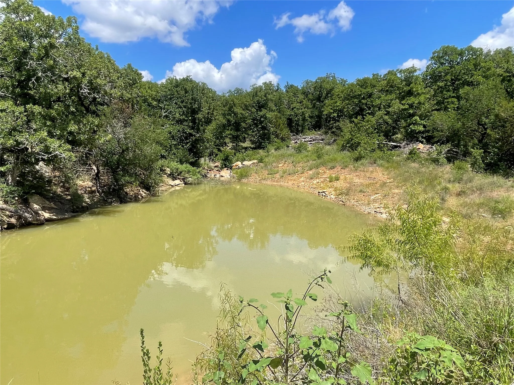 Unimproved Land For Sale in Young County , 000 Lower Tonk Valley Road, Graham, Texas 76450, 0, 0, Garage spaces, 0 Sqft, built in 0, mls#21418331, Real Estate Agent in Graham, Homes For Sale in Young county, Homes For Sale in Graham, Realtor in Graham Texas, Real Estate Brokerage Independent Realty Texas, Luminita Cordes Realtor
